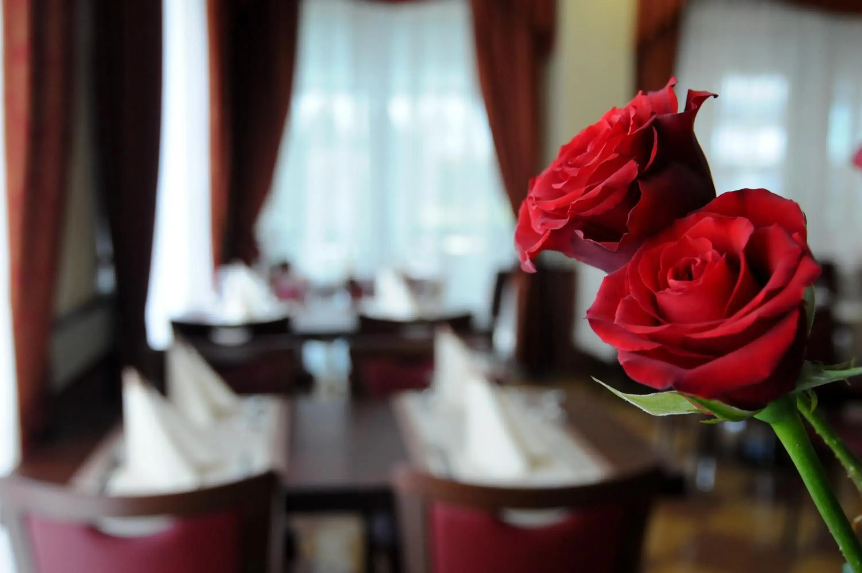 Restaurant/places to eat in Hotel Dei Platani Restaurant/places to eat in Hotel Dei Platani