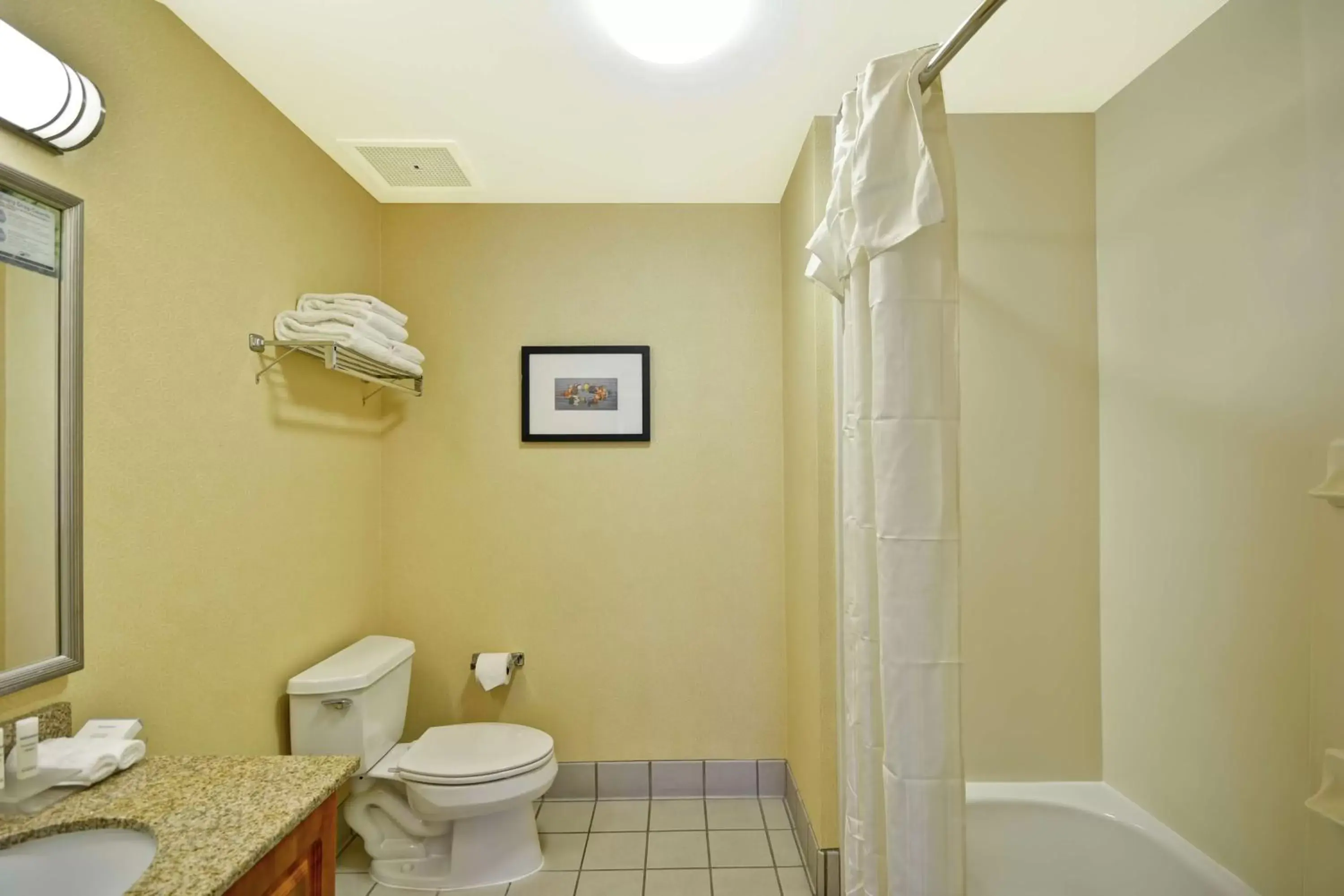 Bathroom in Homewood Suites by Hilton Newark-Wilmington South Area