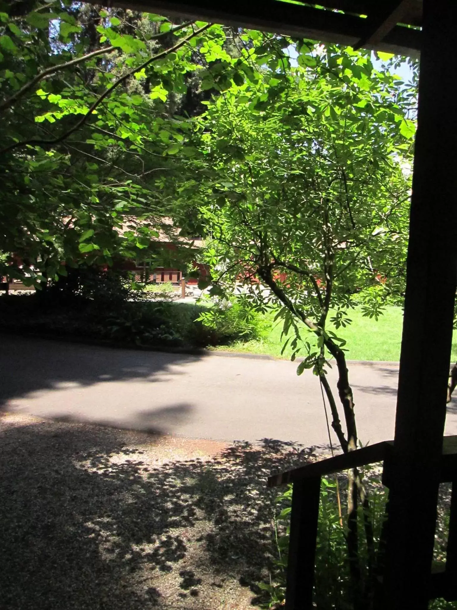 Garden view in Fern River Resort