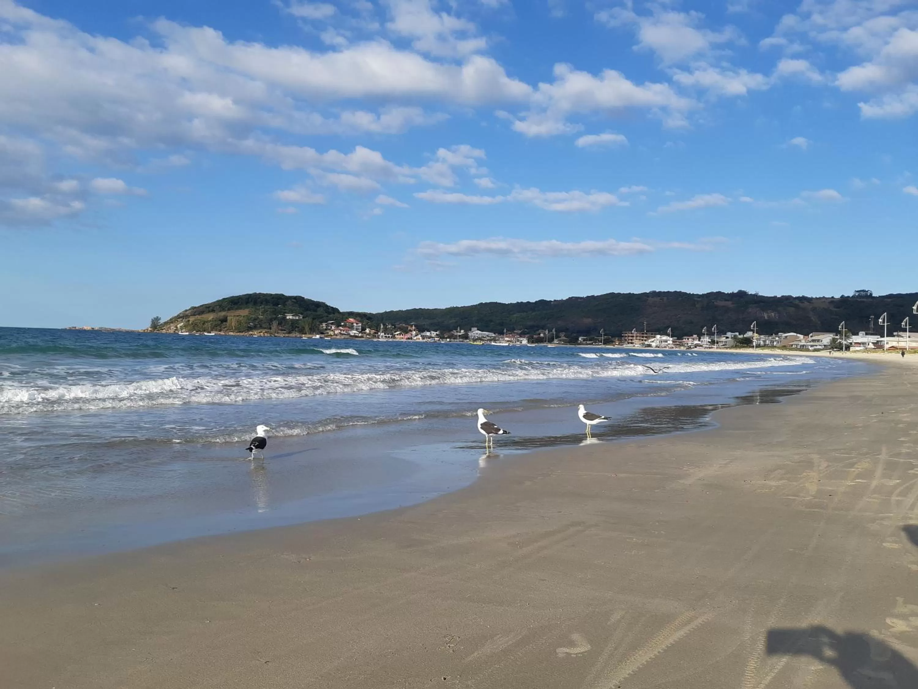 Beach in Residencial Massiambu