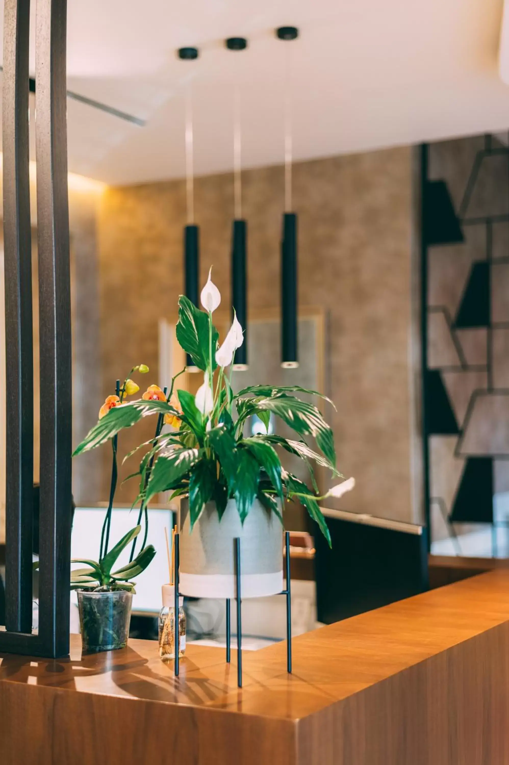 Decorative detail, Lobby/Reception in Hotel Stela Center