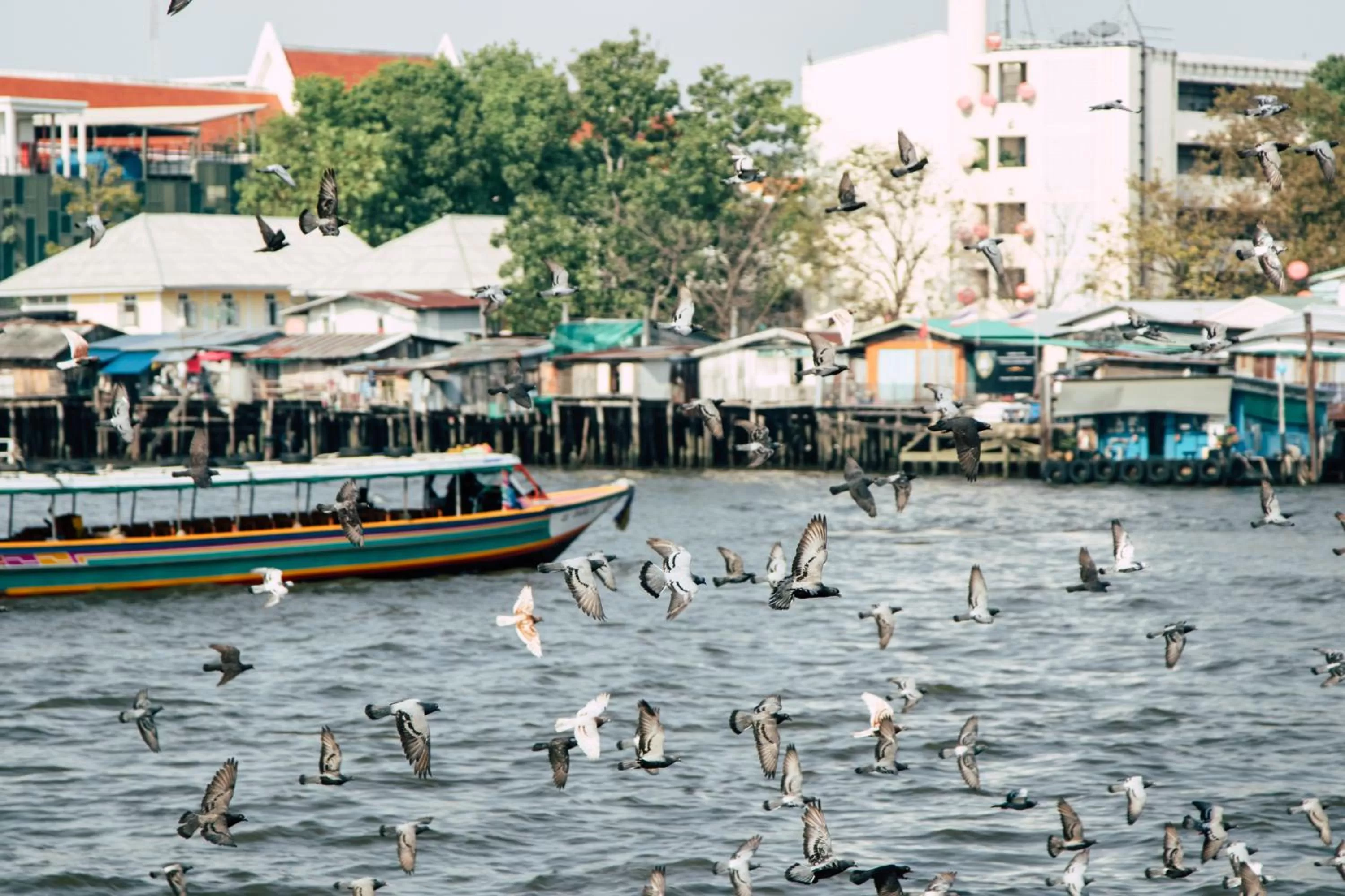 Natural landscape in Theatre Residence
