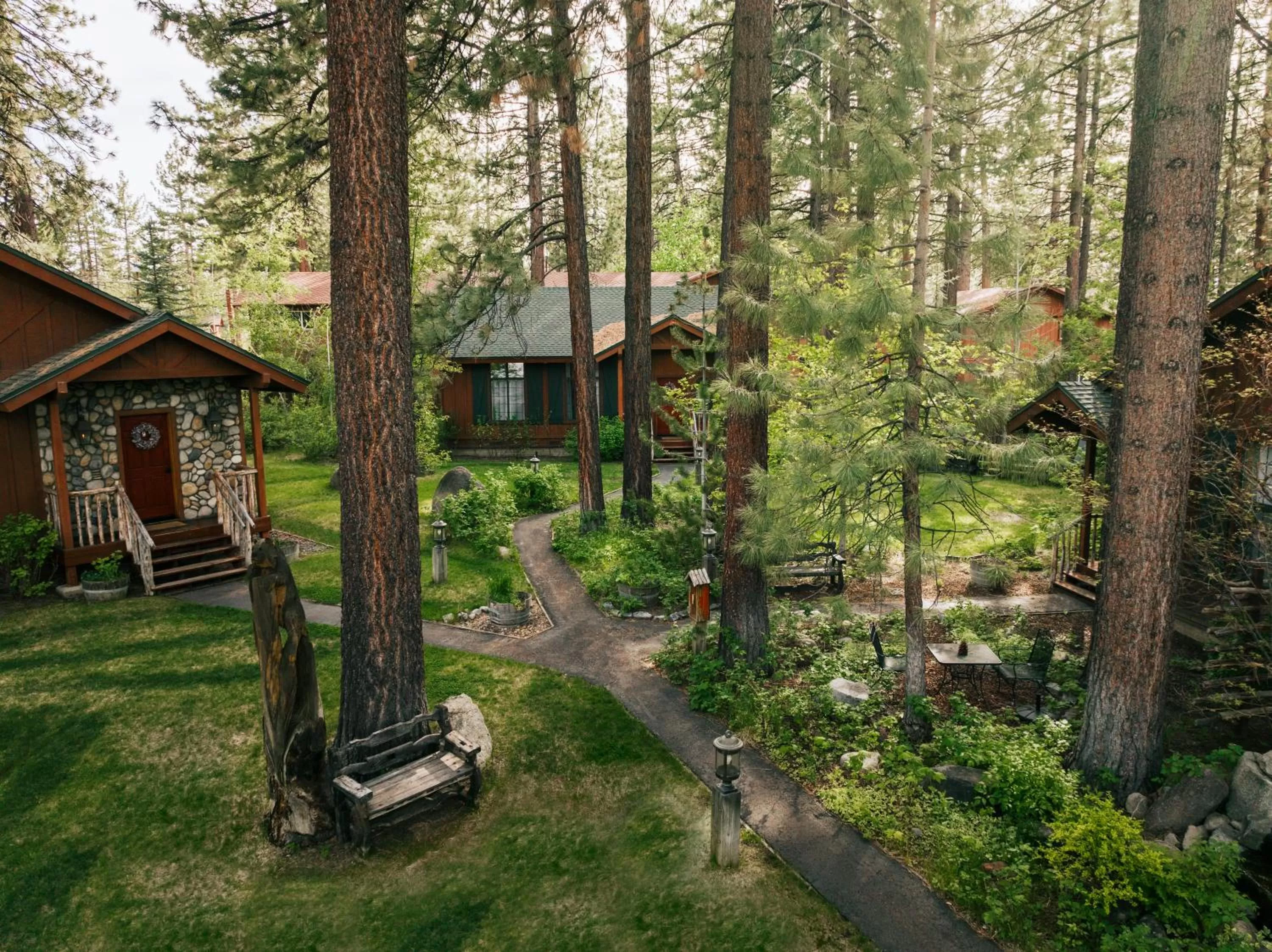 Black Bear Lodge