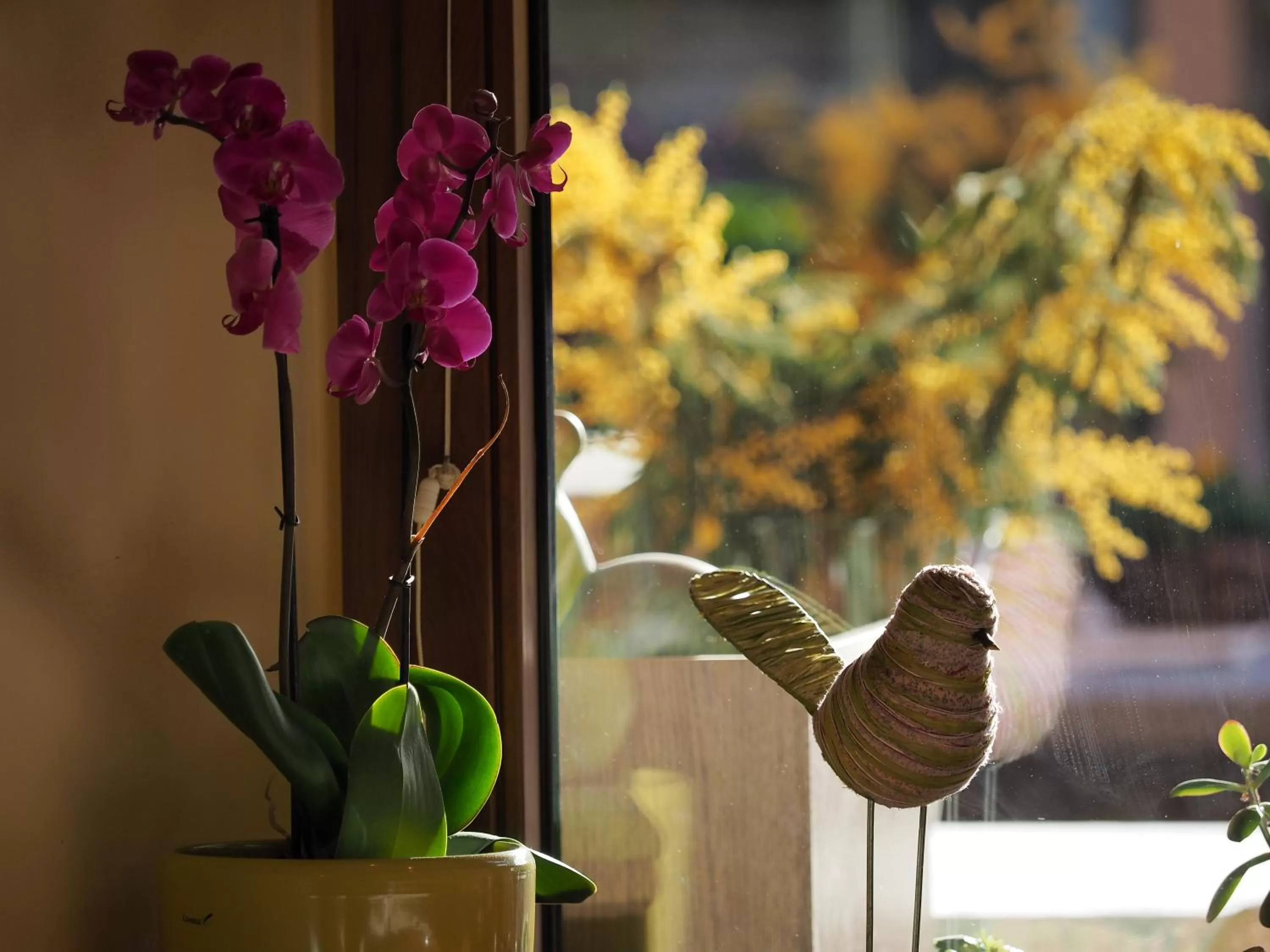 Decorative detail in Charme Hotel Ristorante Tre Terre