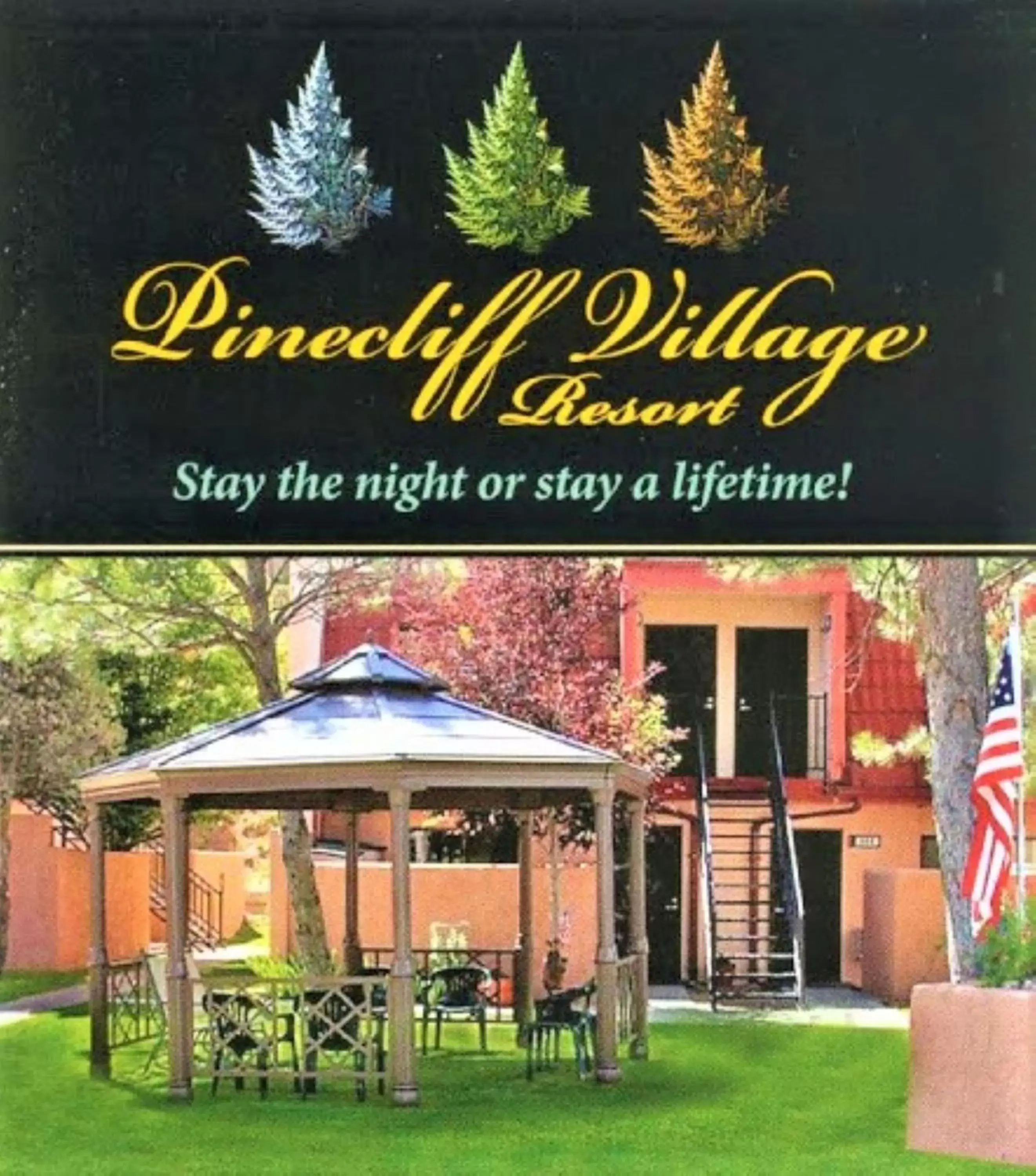 Area and facilities in Pinecliff Village Resort