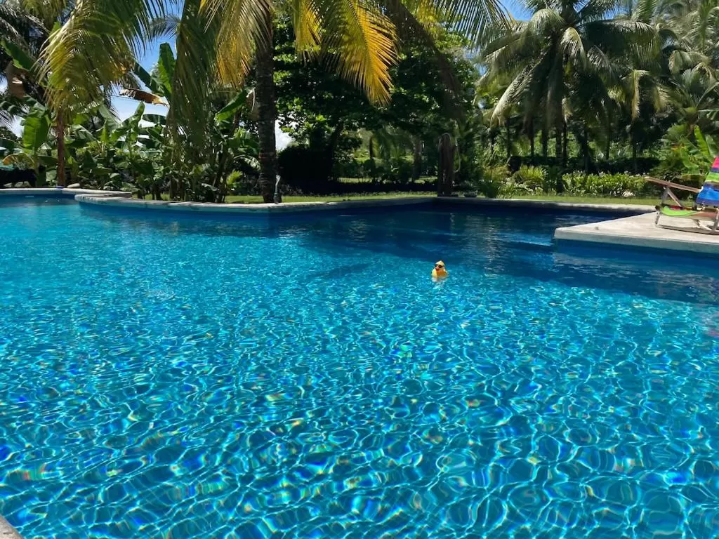 Garden in Sand Dollar Beach Bed & Breakfast