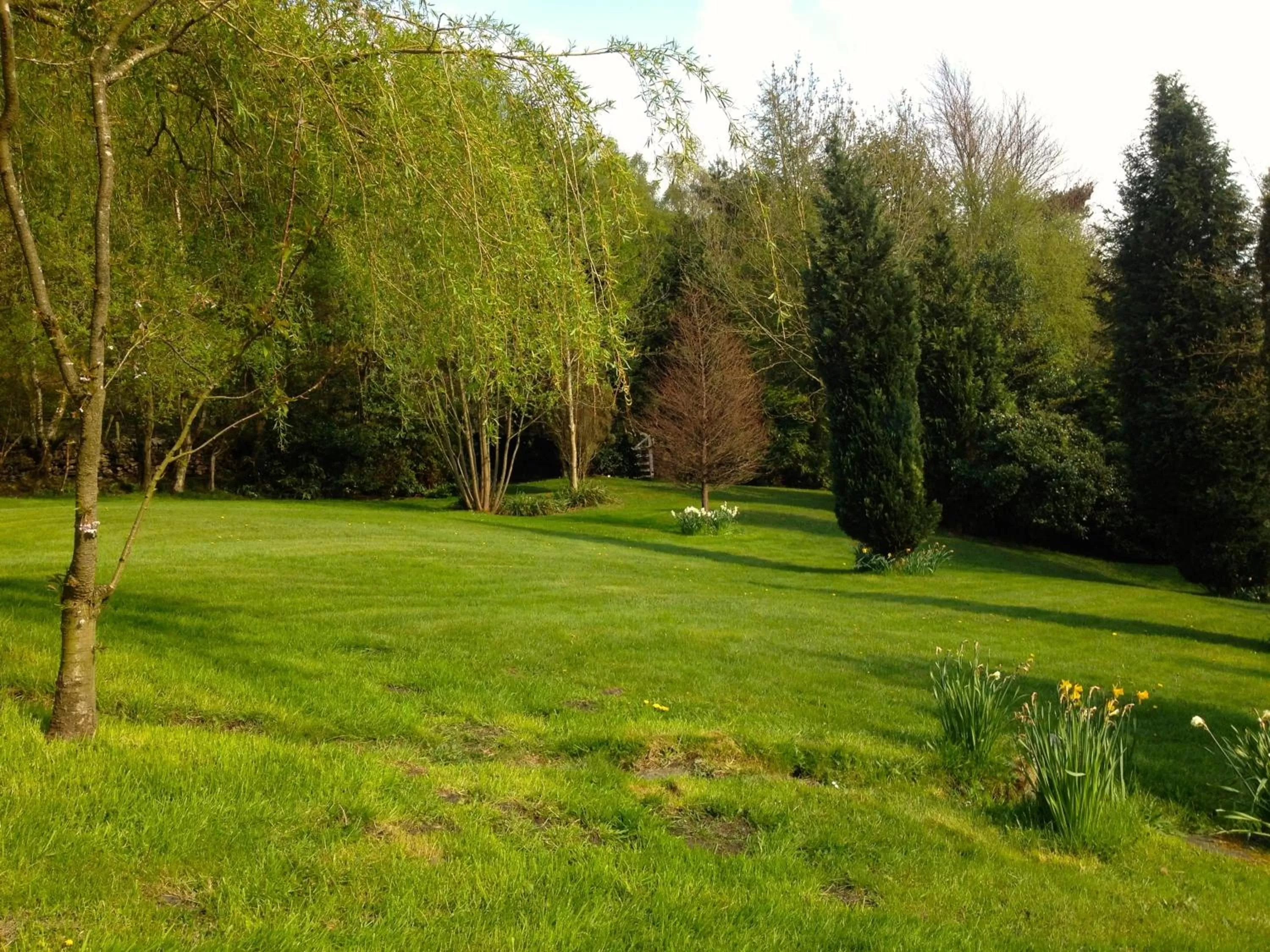 Garden in Robin Hood Farm B&B