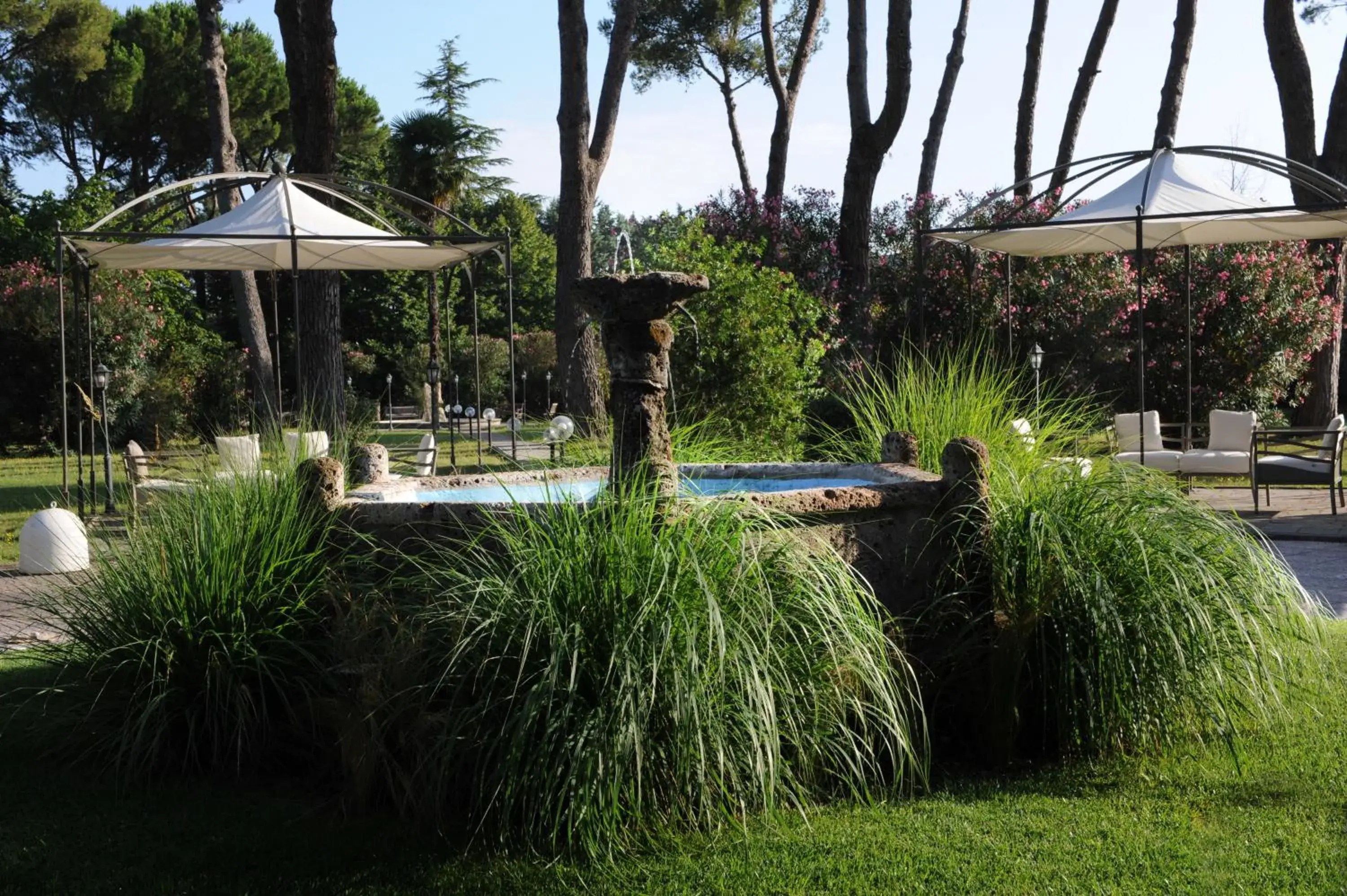 Day, Swimming Pool in Hotel Salus Terme