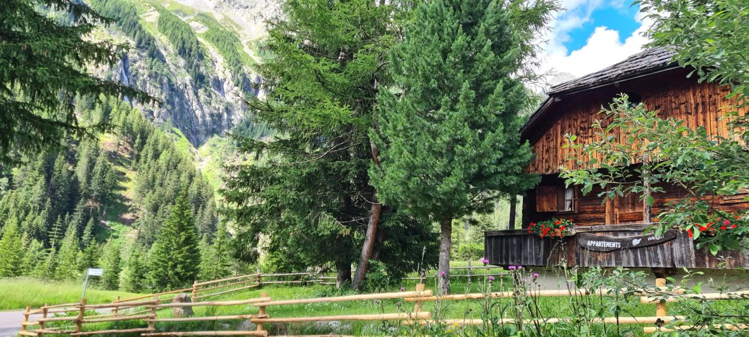 Natural landscape in Sport Hotel Wildgall