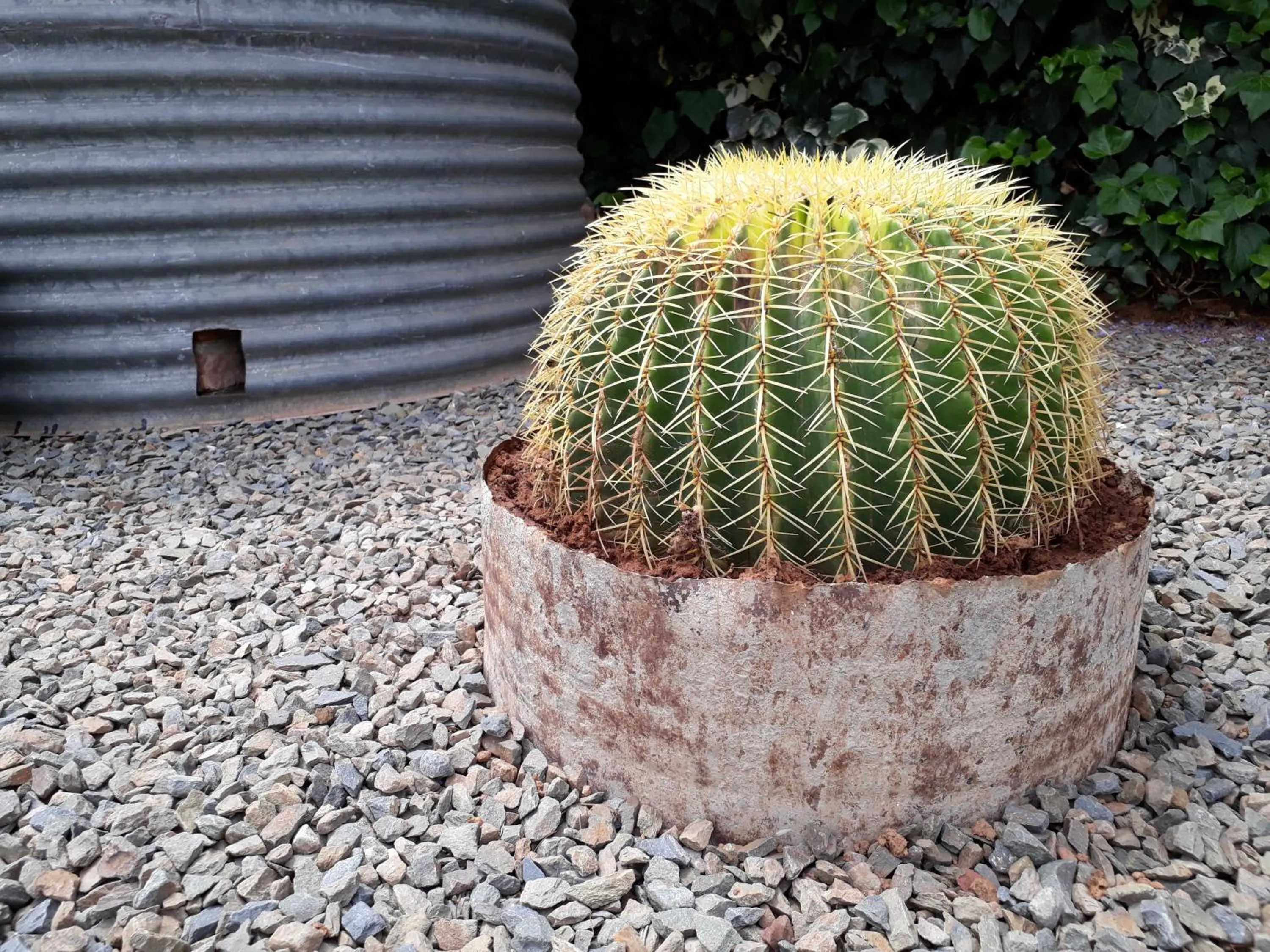 Karoo Sun Guest House