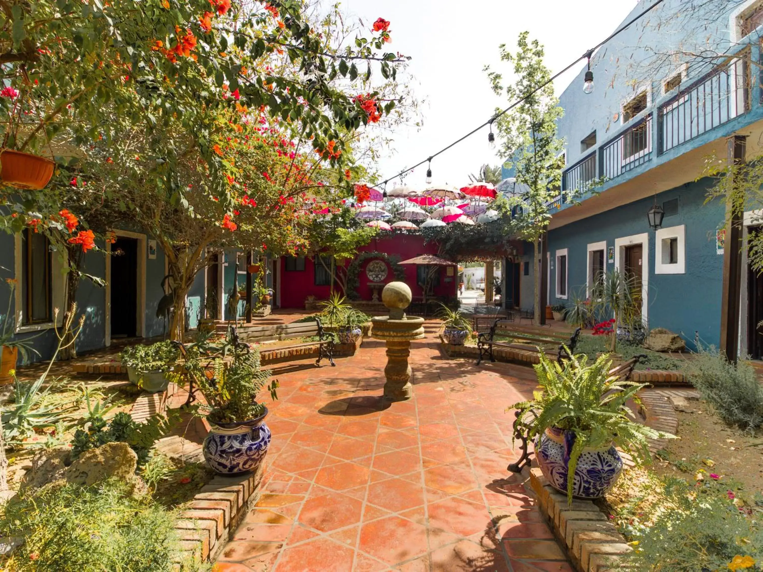 Garden in Hotel Olimpia