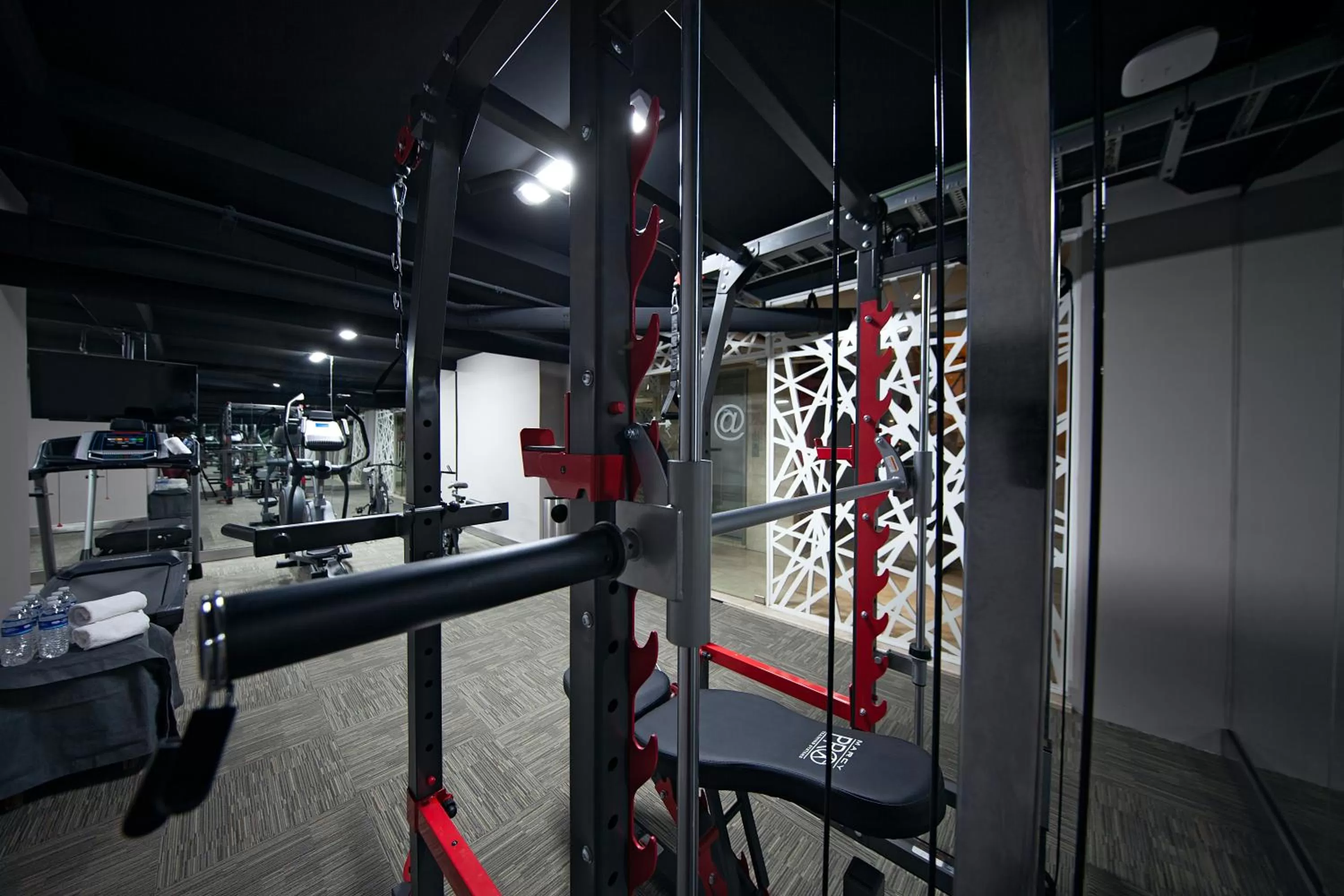 Fitness centre/facilities, Fitness Center/Facilities in Suites Del Ángel
