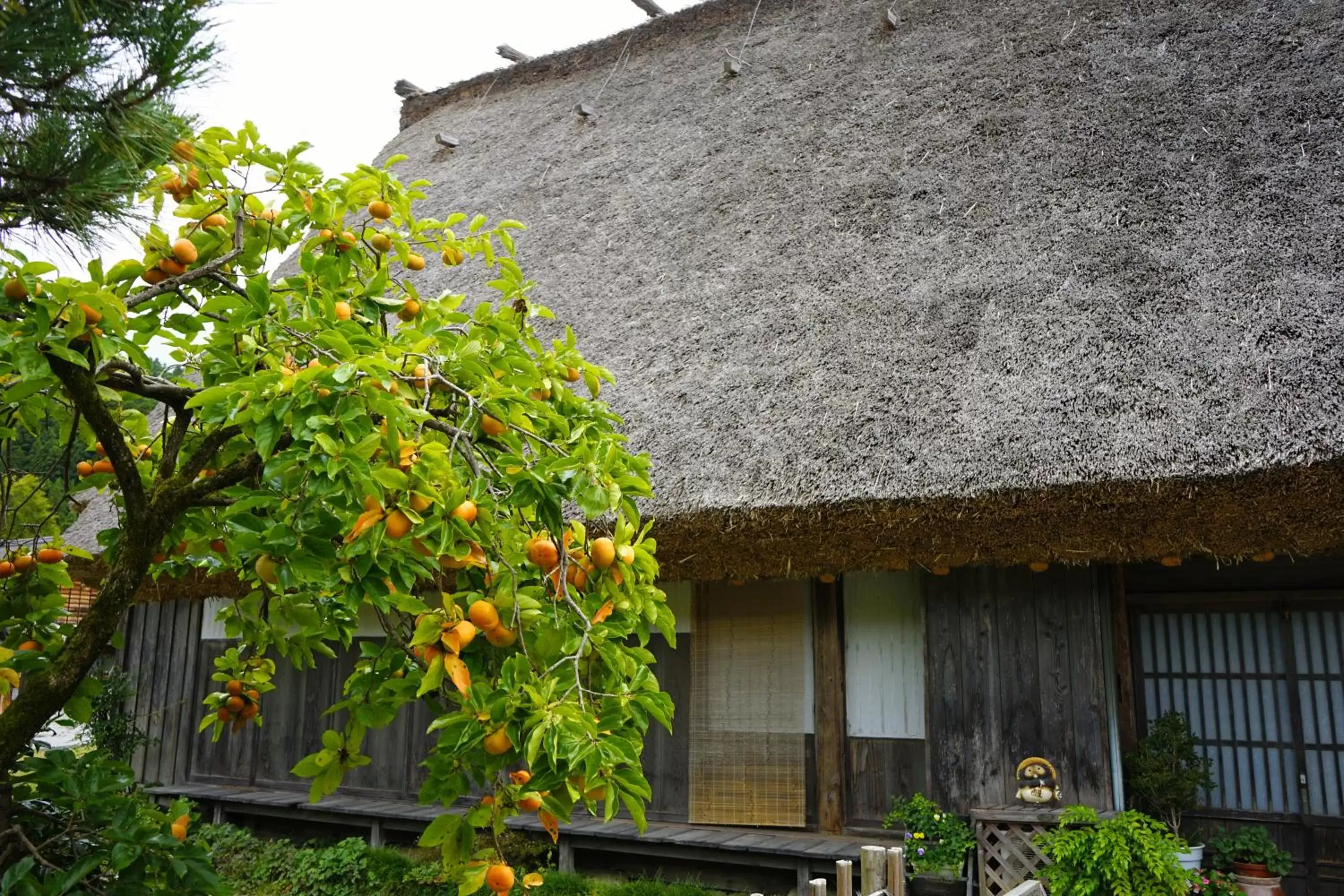 Nearby landmark, Property Building in Hotel Associa Takayama Resort