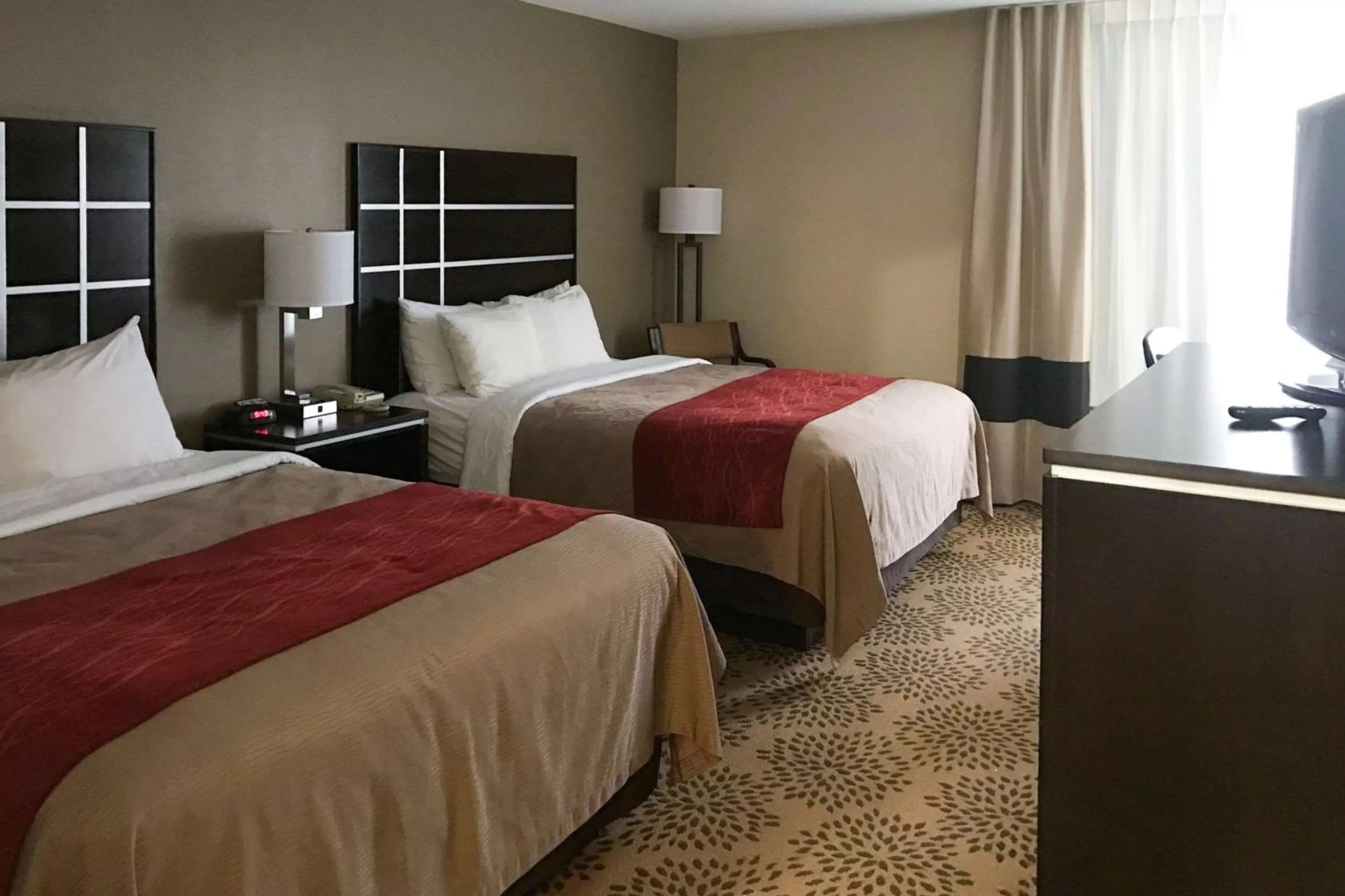 Photo of the whole room, Bed in Comfort Inn North of Asheville