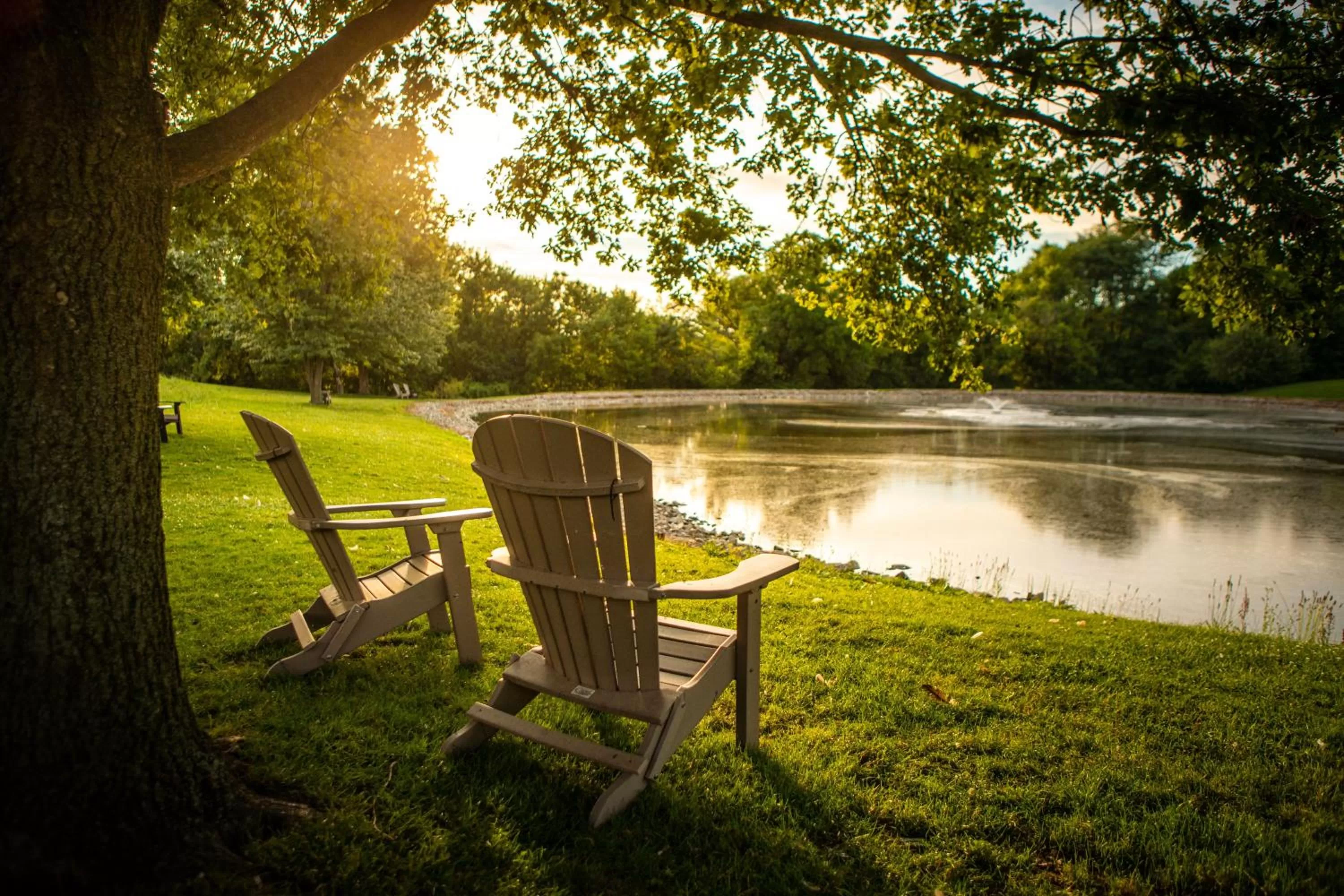 View (from property/room) in Hershey Farm Resort