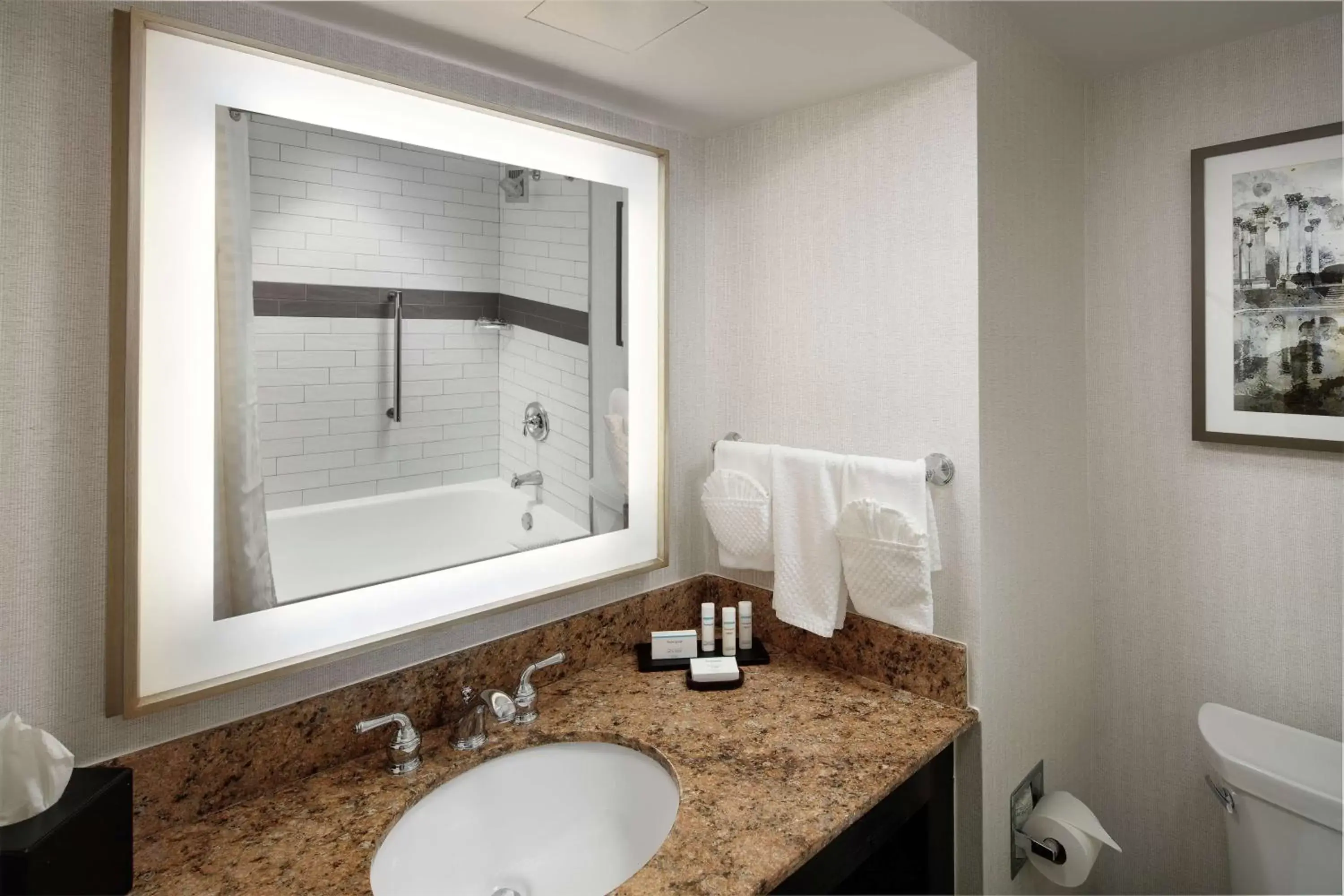 Bathroom in Embassy Suites Tysons Corner