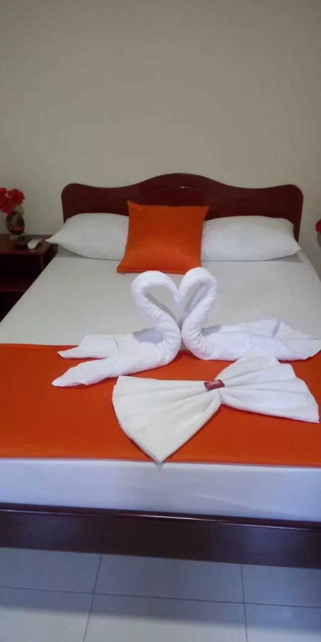Double Room with Air-Conditioning in Hotel Colonial Villavieja