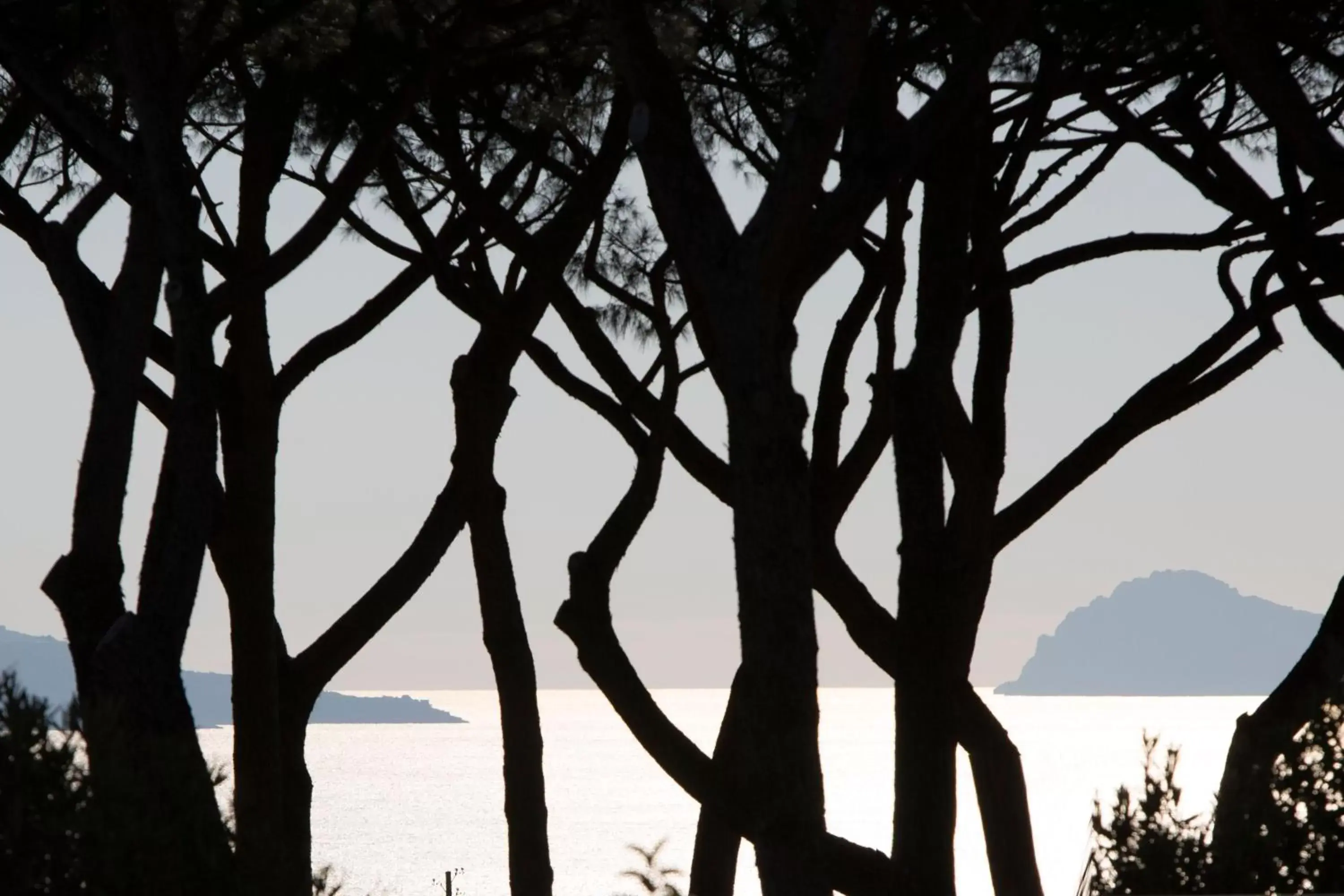 Sea view in Pachamama Sea view in Pachamama