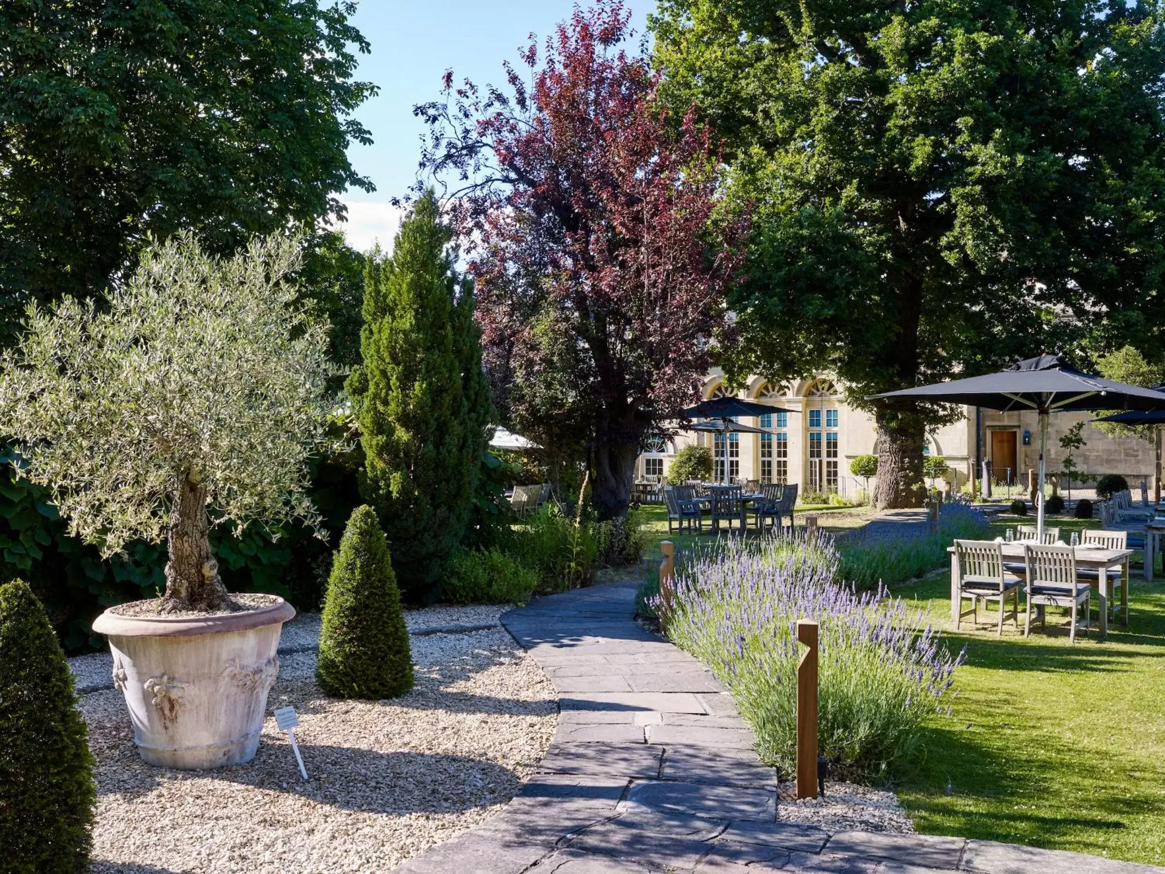 Garden in The Royal Crescent Hotel & Spa