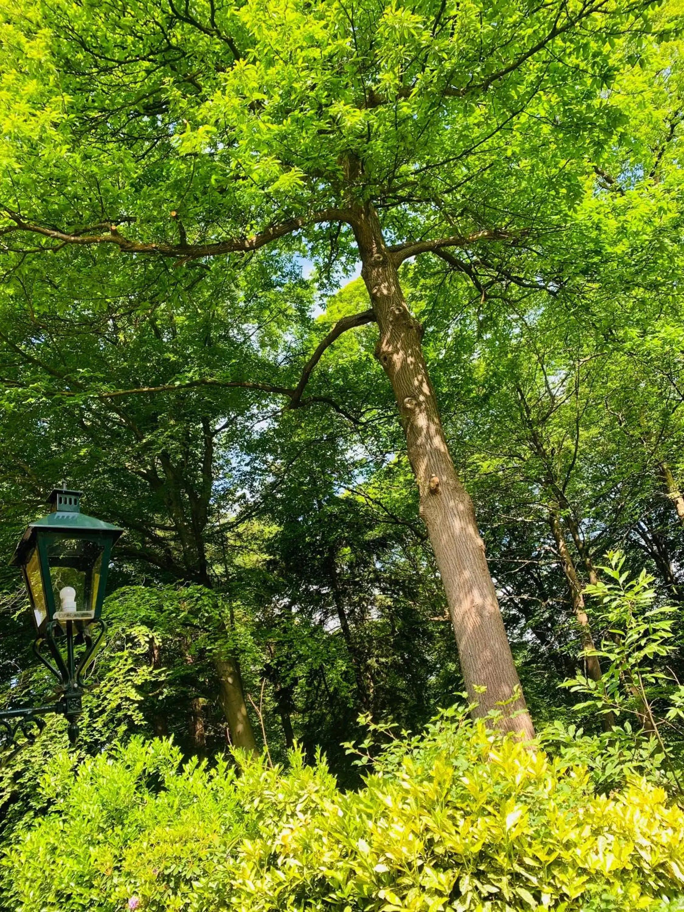 View (from property/room), Garden in Hotel Landgoed Zonheuvel