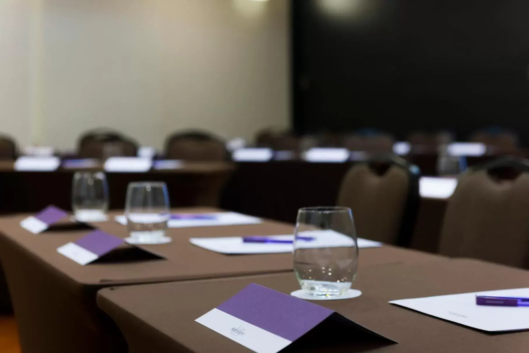 Meeting/conference room in ibis Campinas