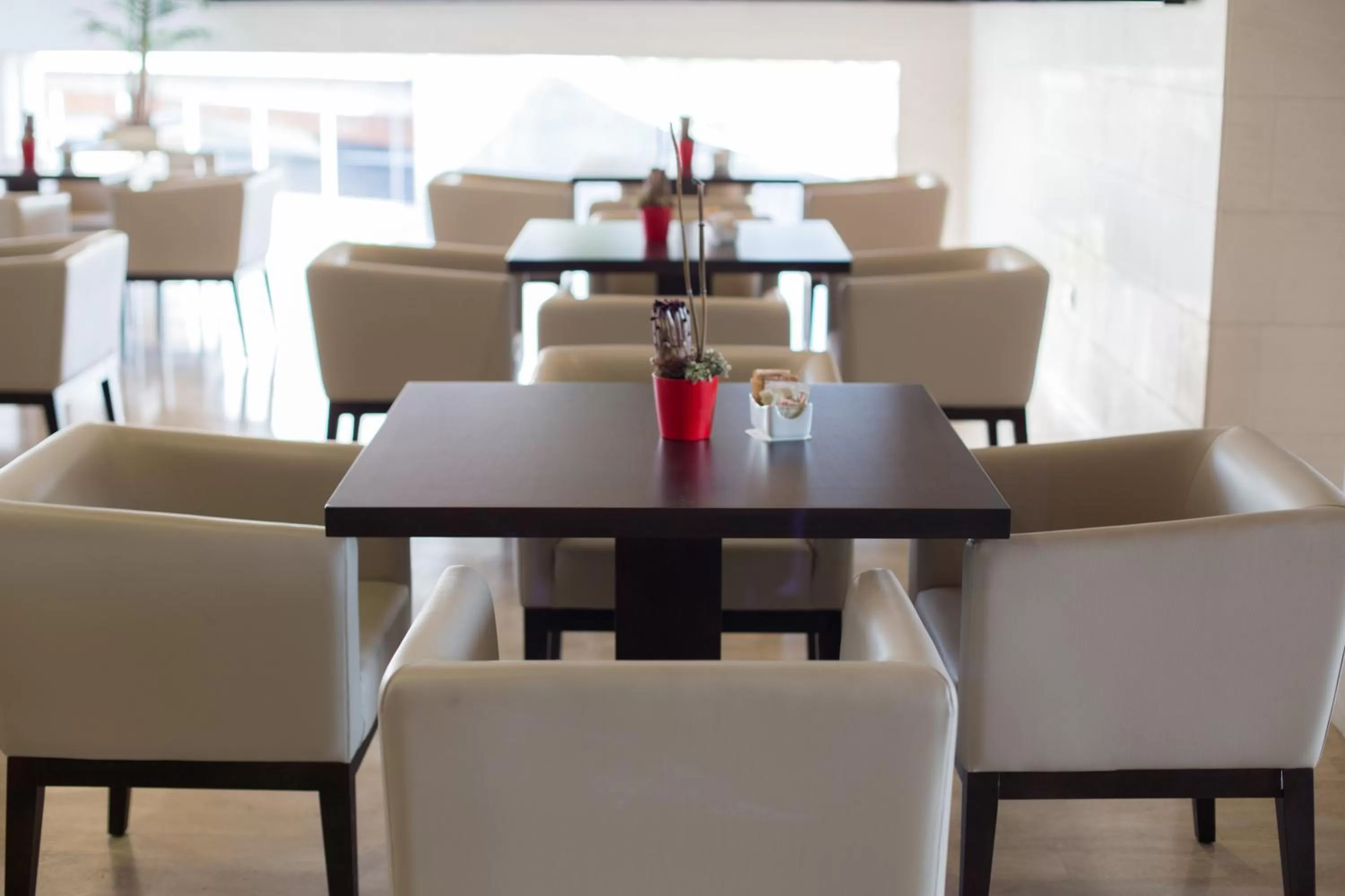 Lounge or bar in Hotel Escuela Santa Cruz