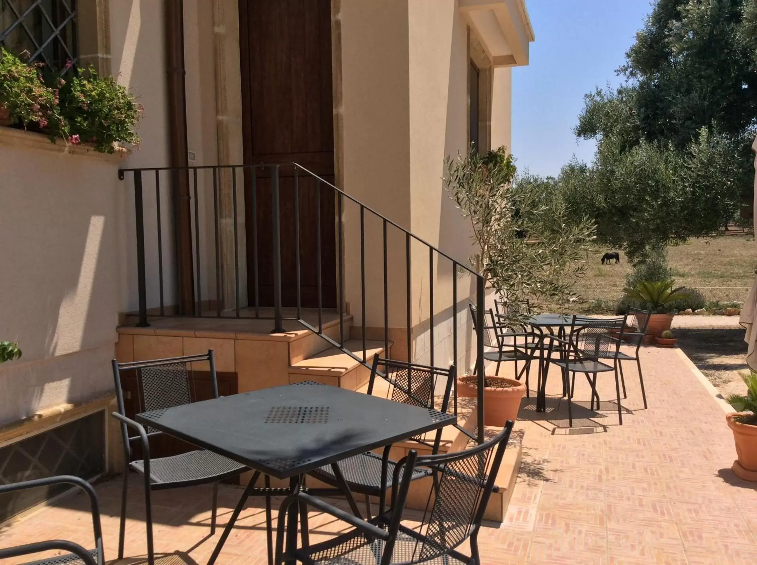 Balcony/Terrace, Patio/Outdoor Area in Villa Narducci