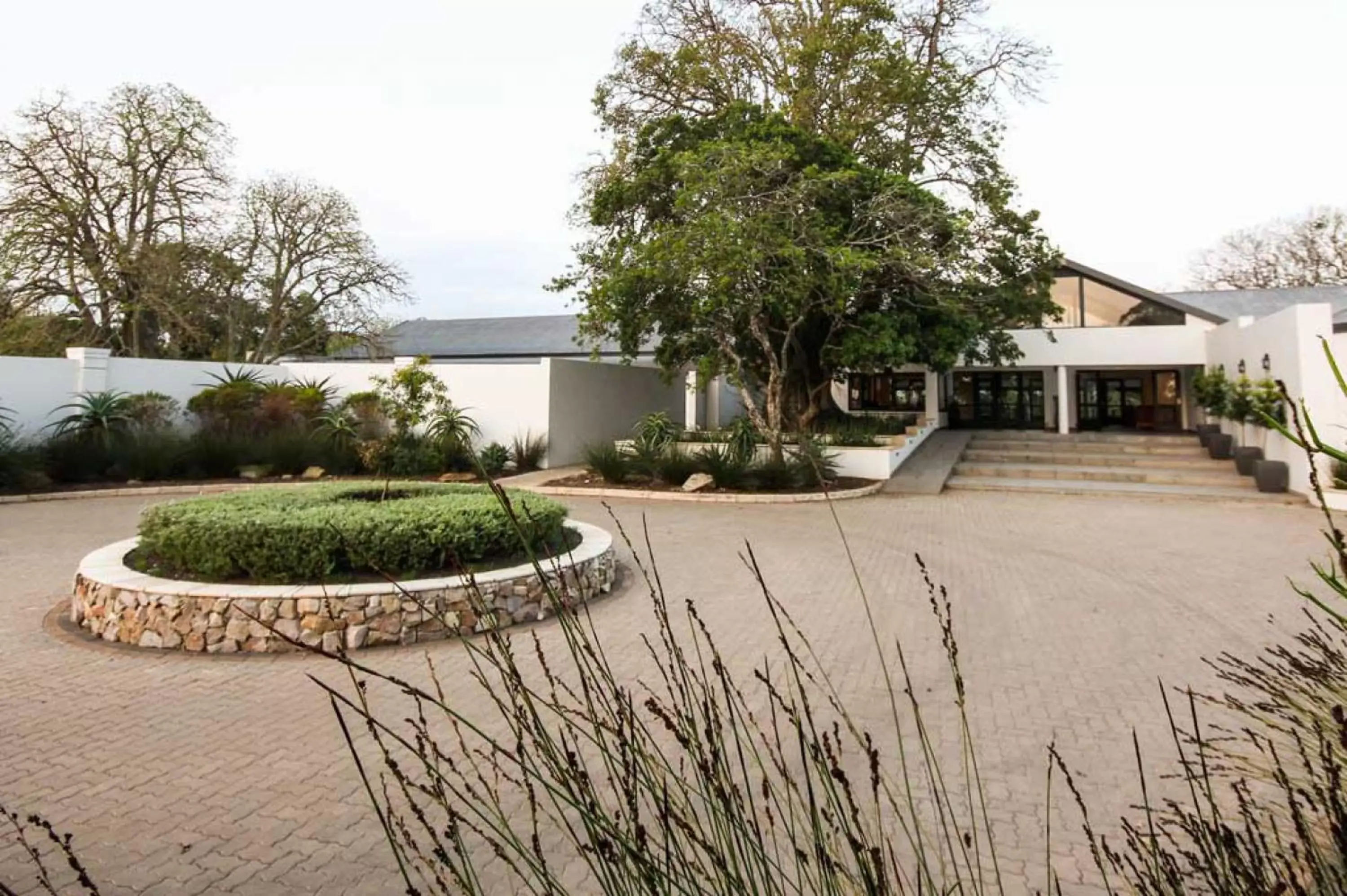 Lobby or reception, Property Building in Hotel Olivewood