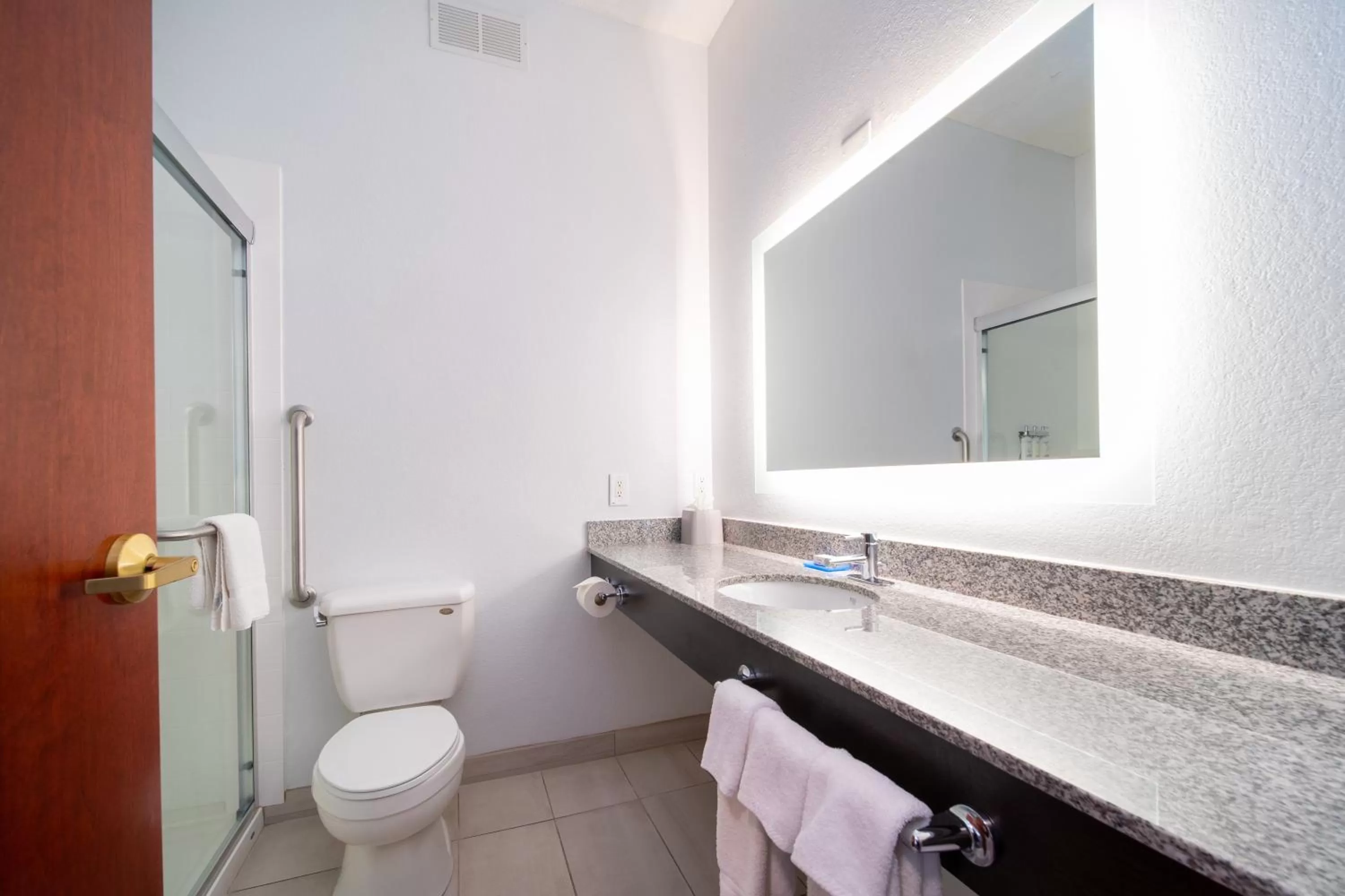 Bathroom in Holiday Inn Express Hotel & Suites Bedford by IHG