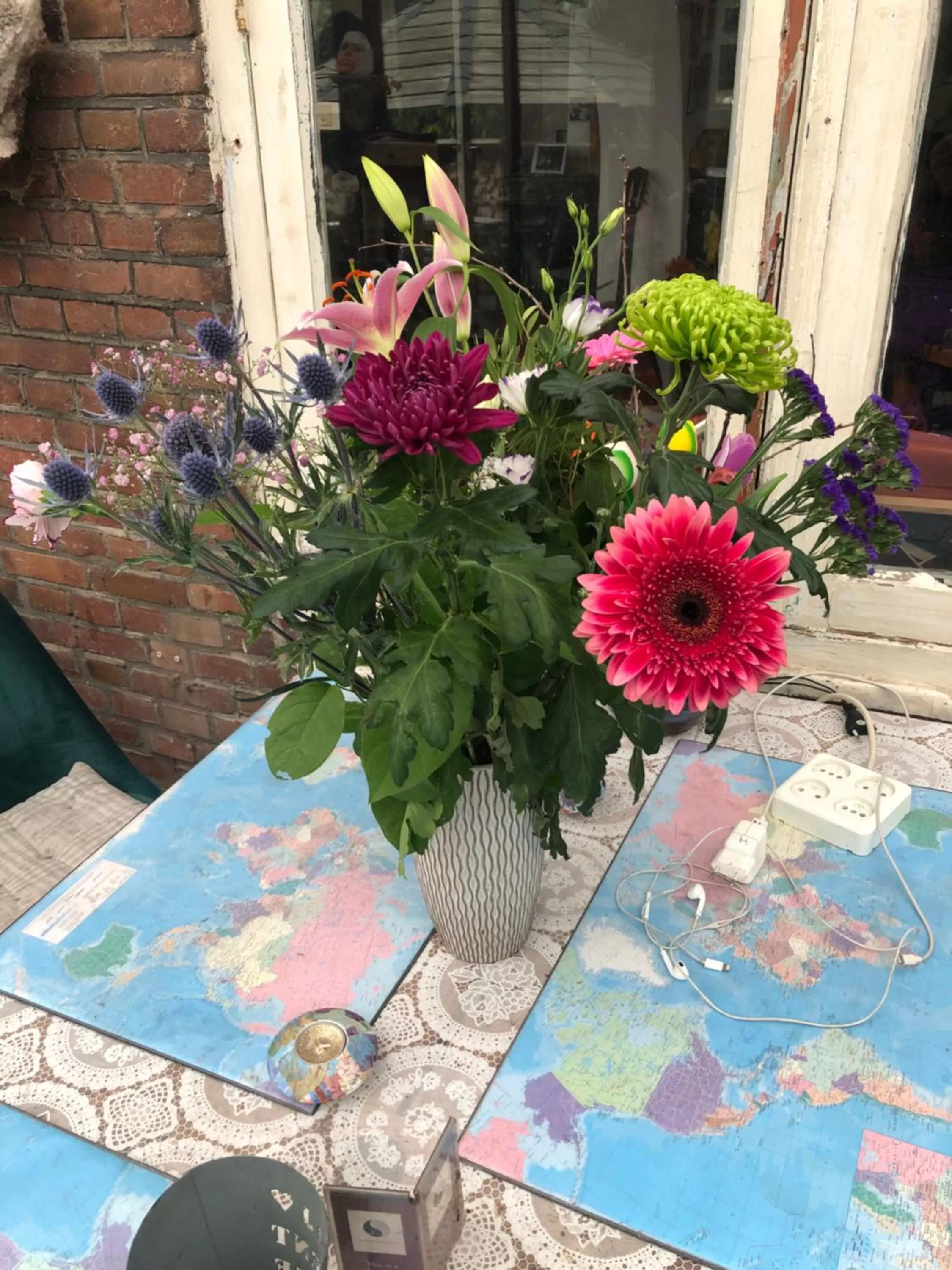 Garden in Imagine My B&B