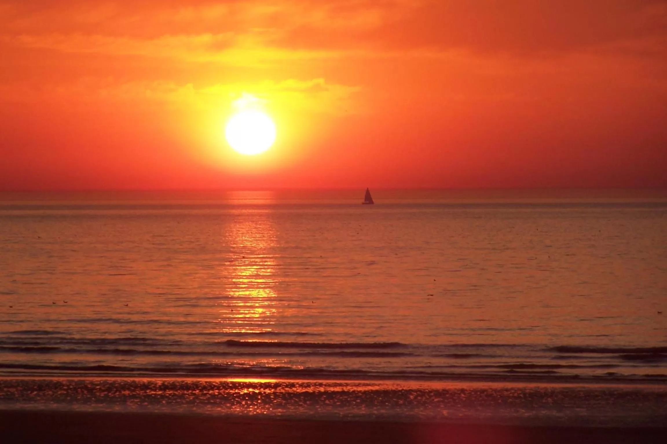 Summer in Logis Hotel Restaurant le Mirador