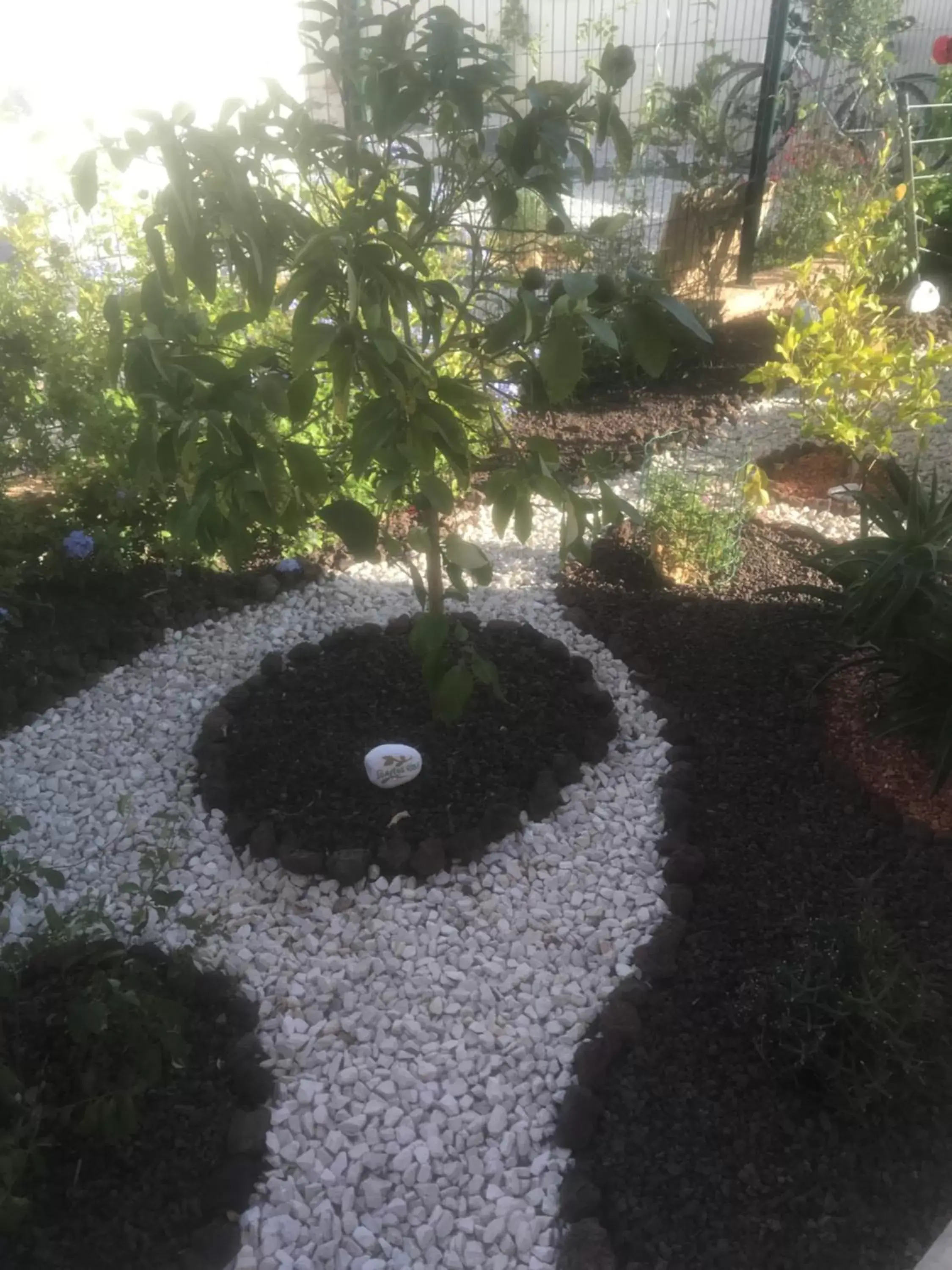 Garden in Chambre d'hôtes dans Villa Diane