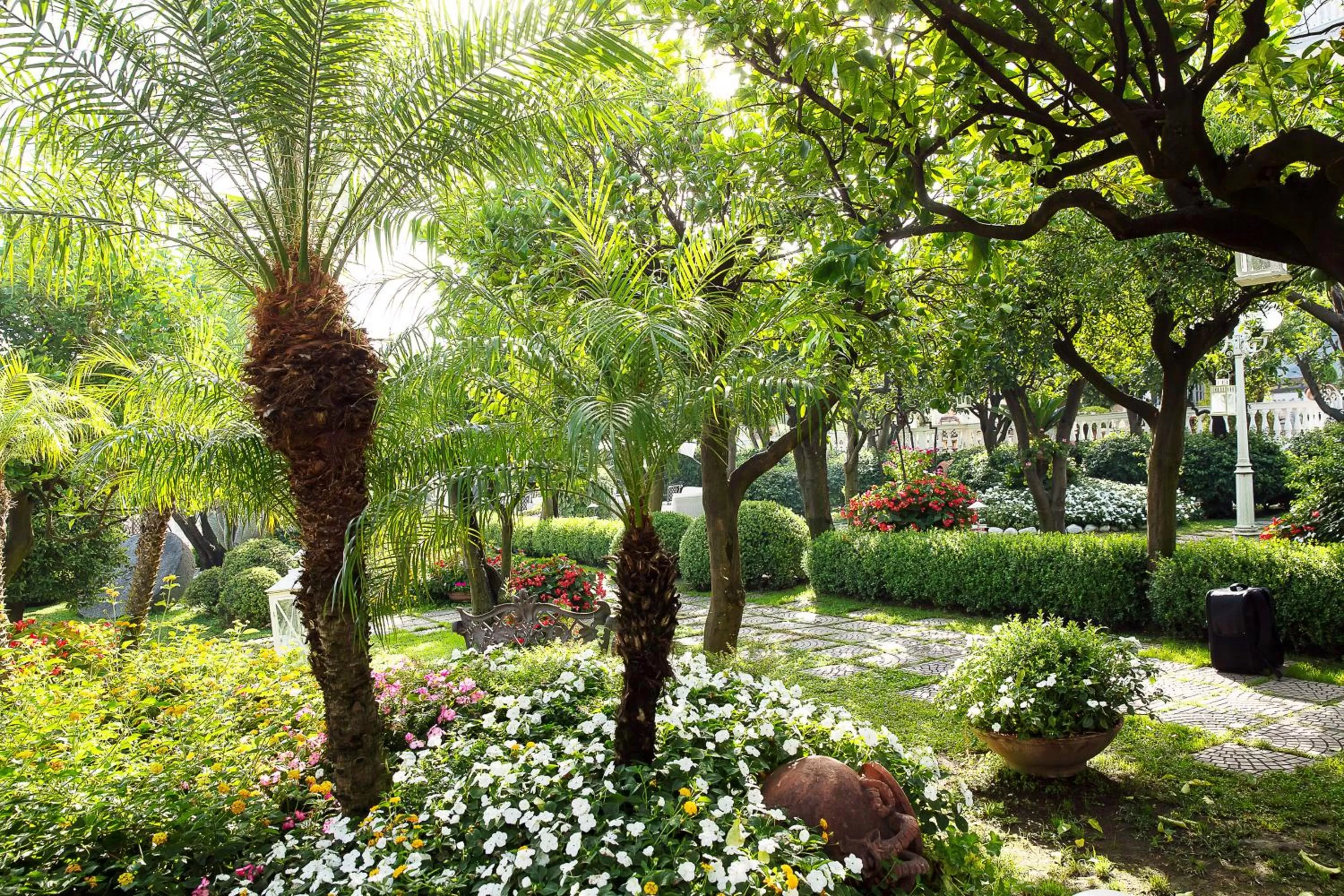 Garden in La Medusa Hotel - Dimora di Charme