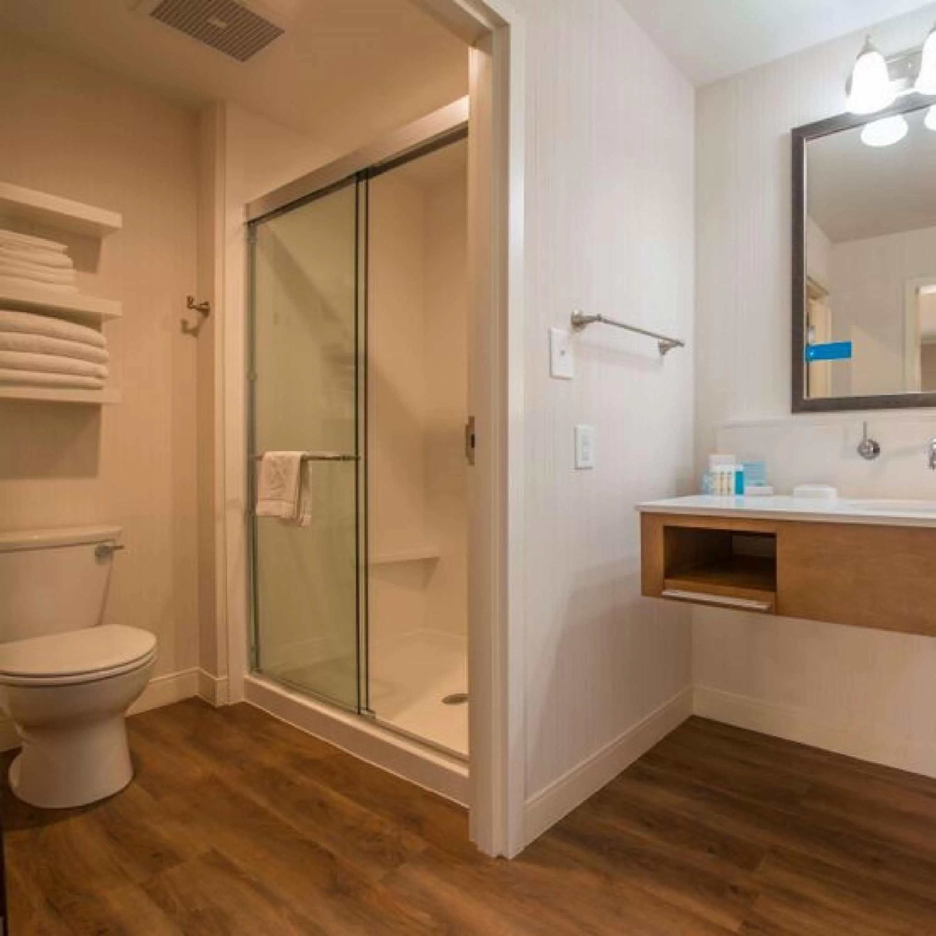 Bathroom in Hampton Inn Waynesboro