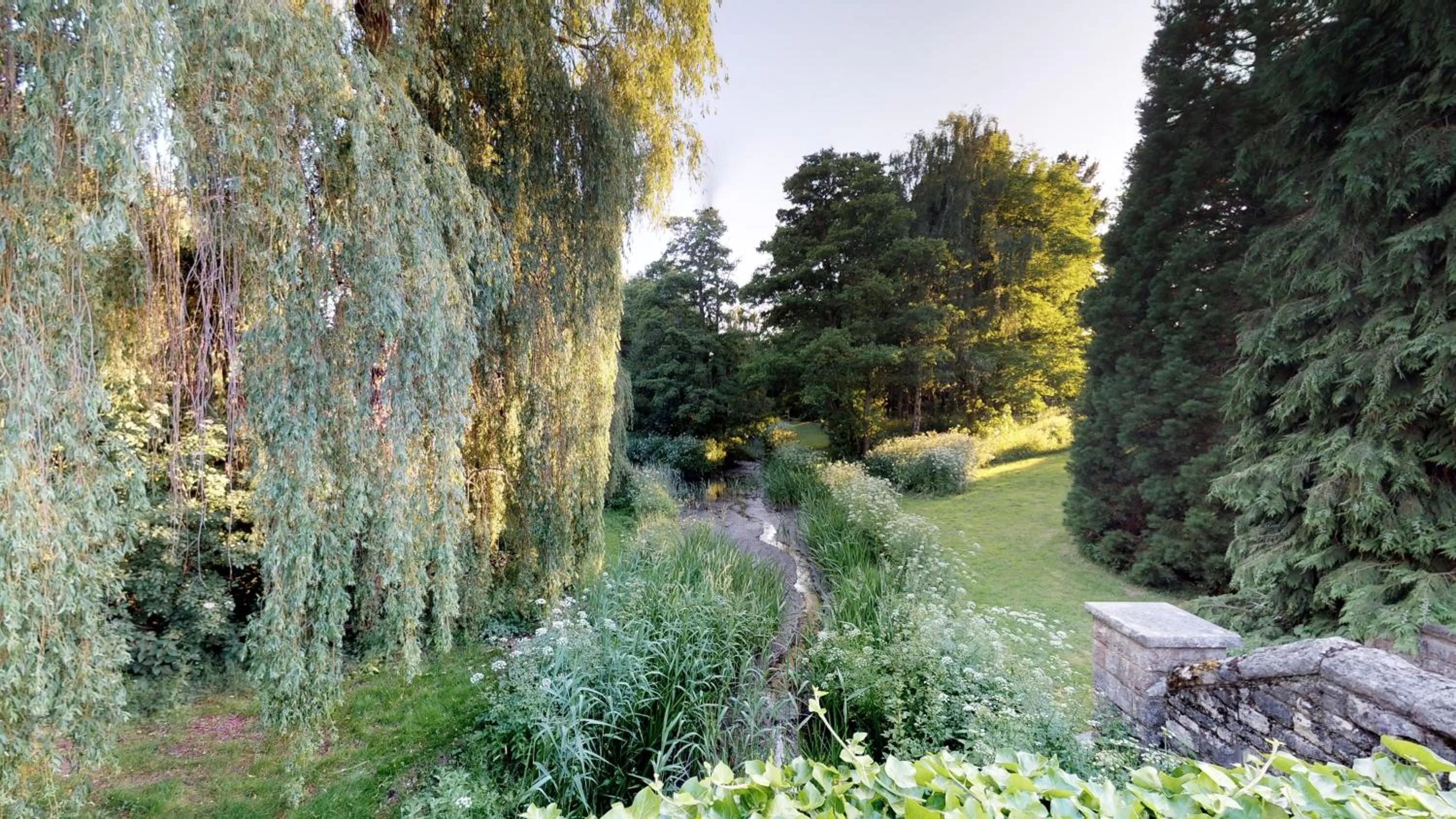 Natural landscape in Macdonald Elmers Court Resort