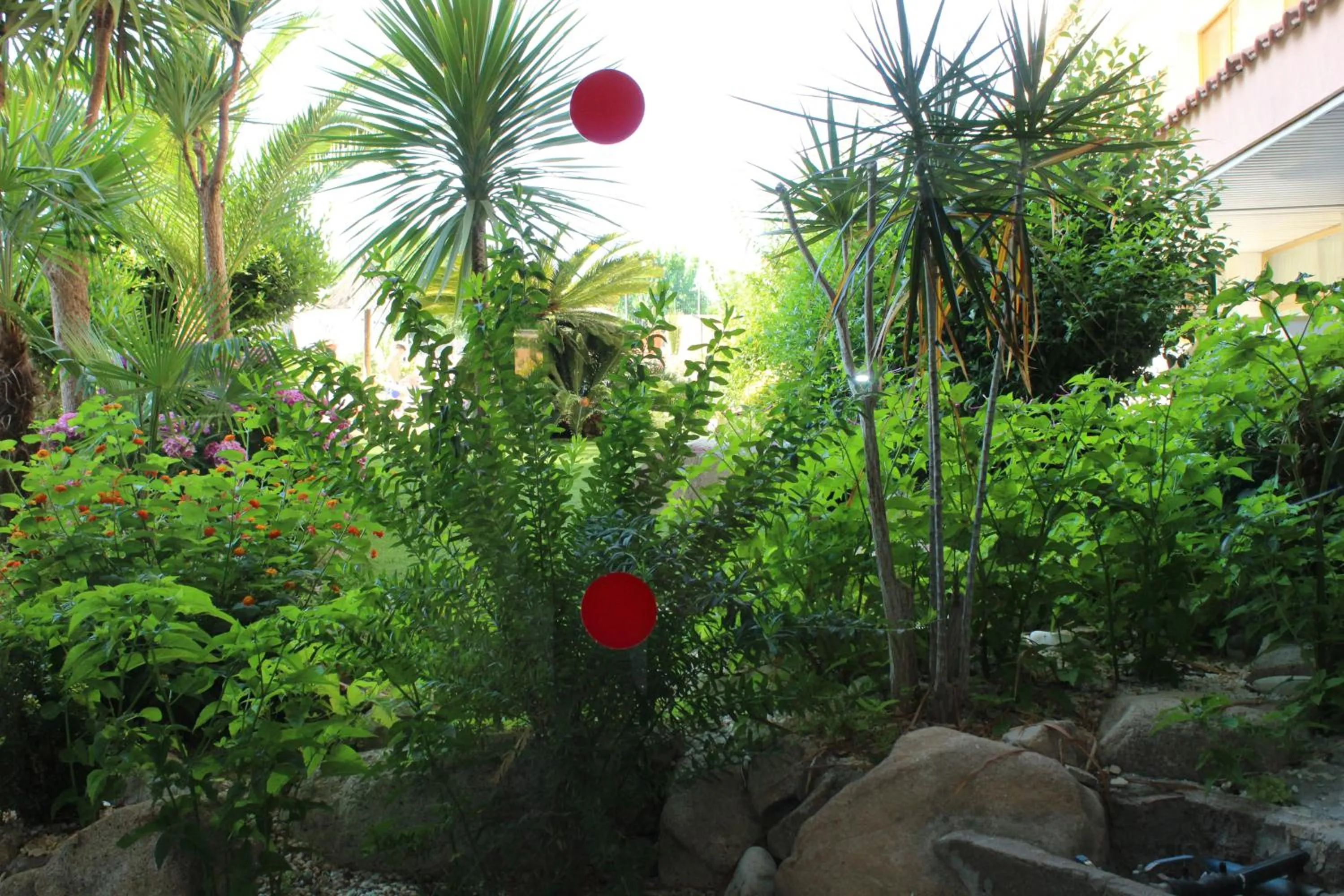 Garden in Hotel Esplendid
