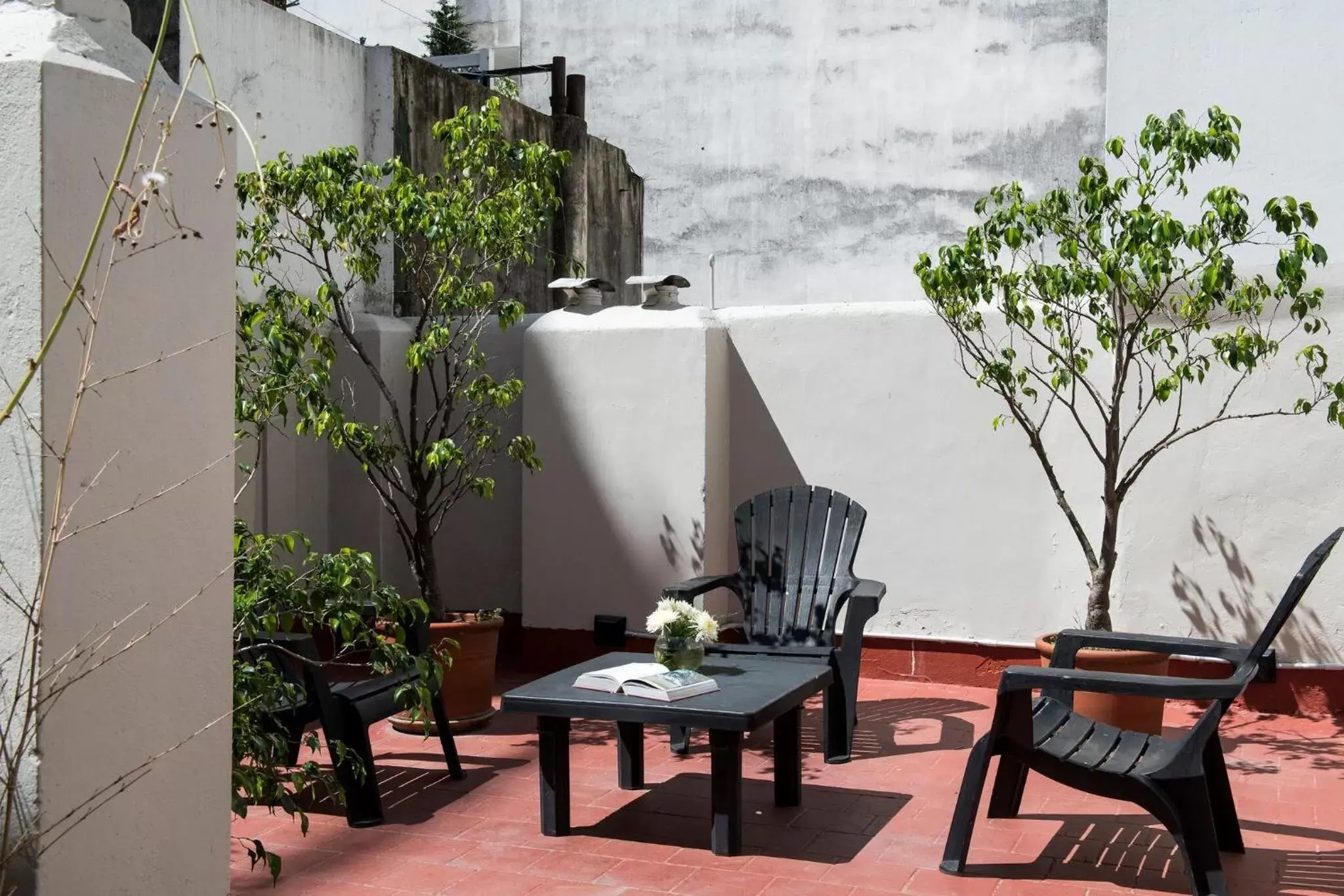 Patios de Recoleta