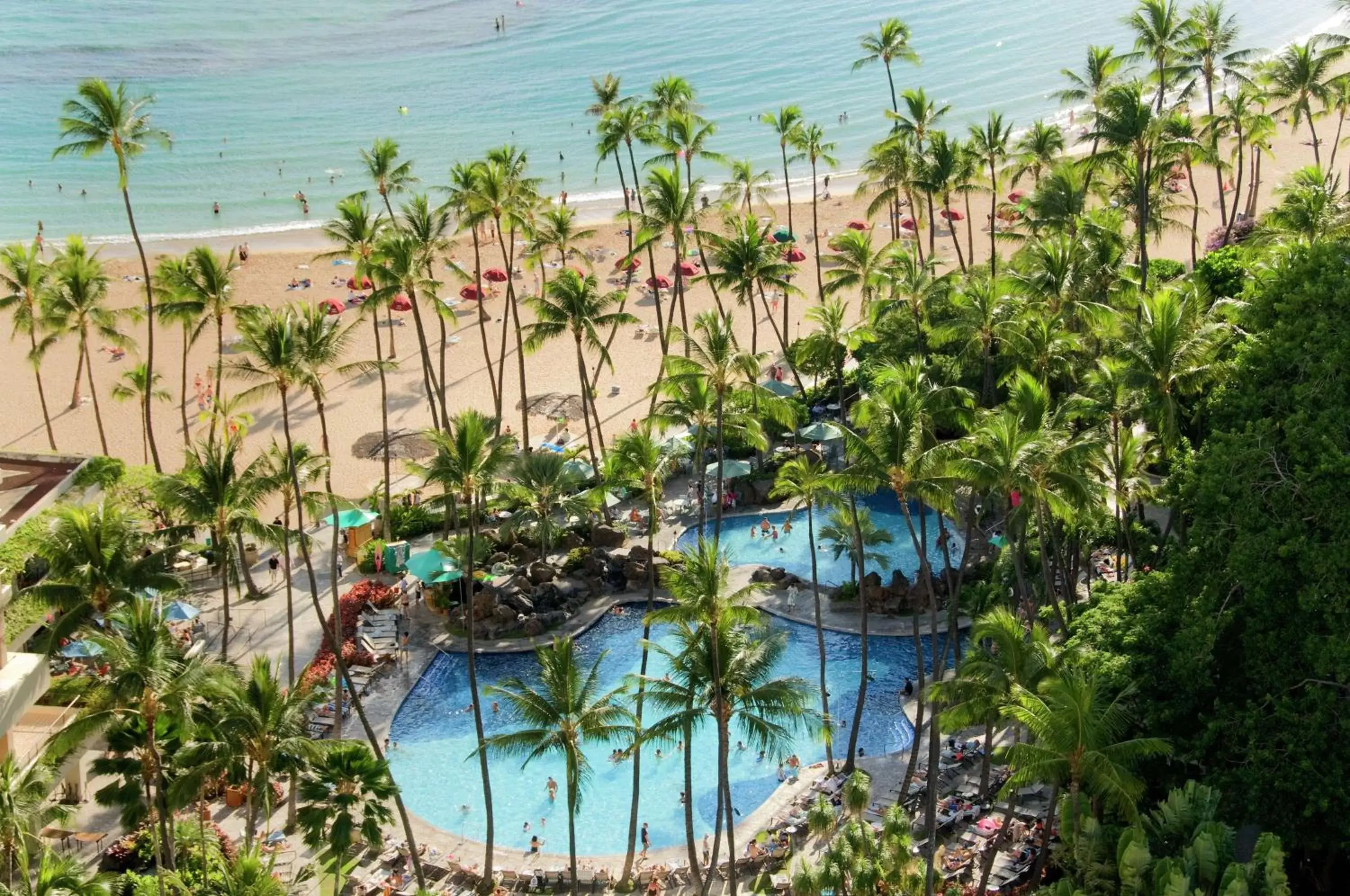Pool View in Hilton Hawaiian Village Waikiki Beach Resort