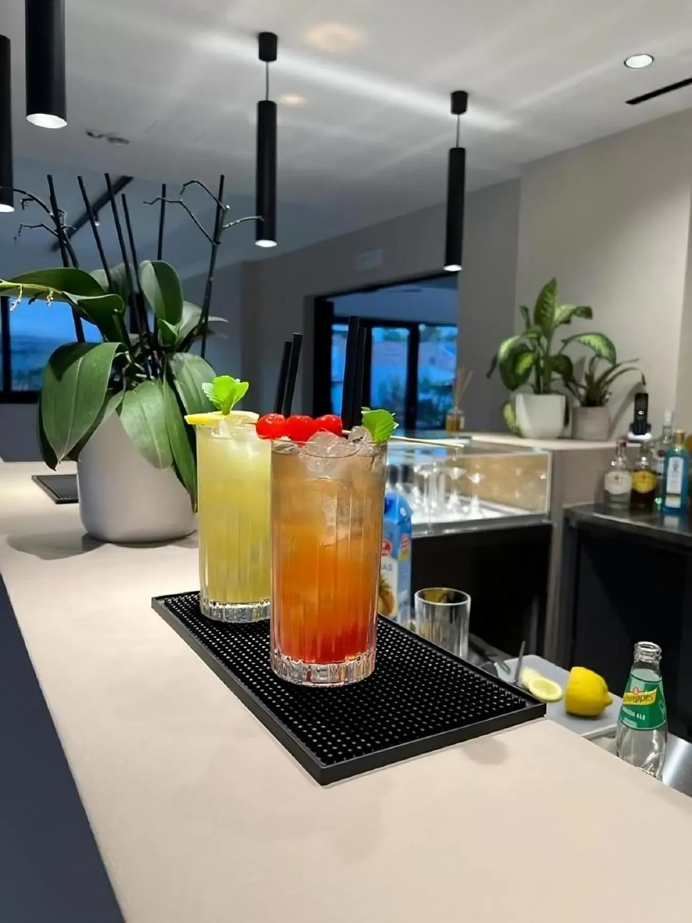 Lounge or bar in Ollen apartments
