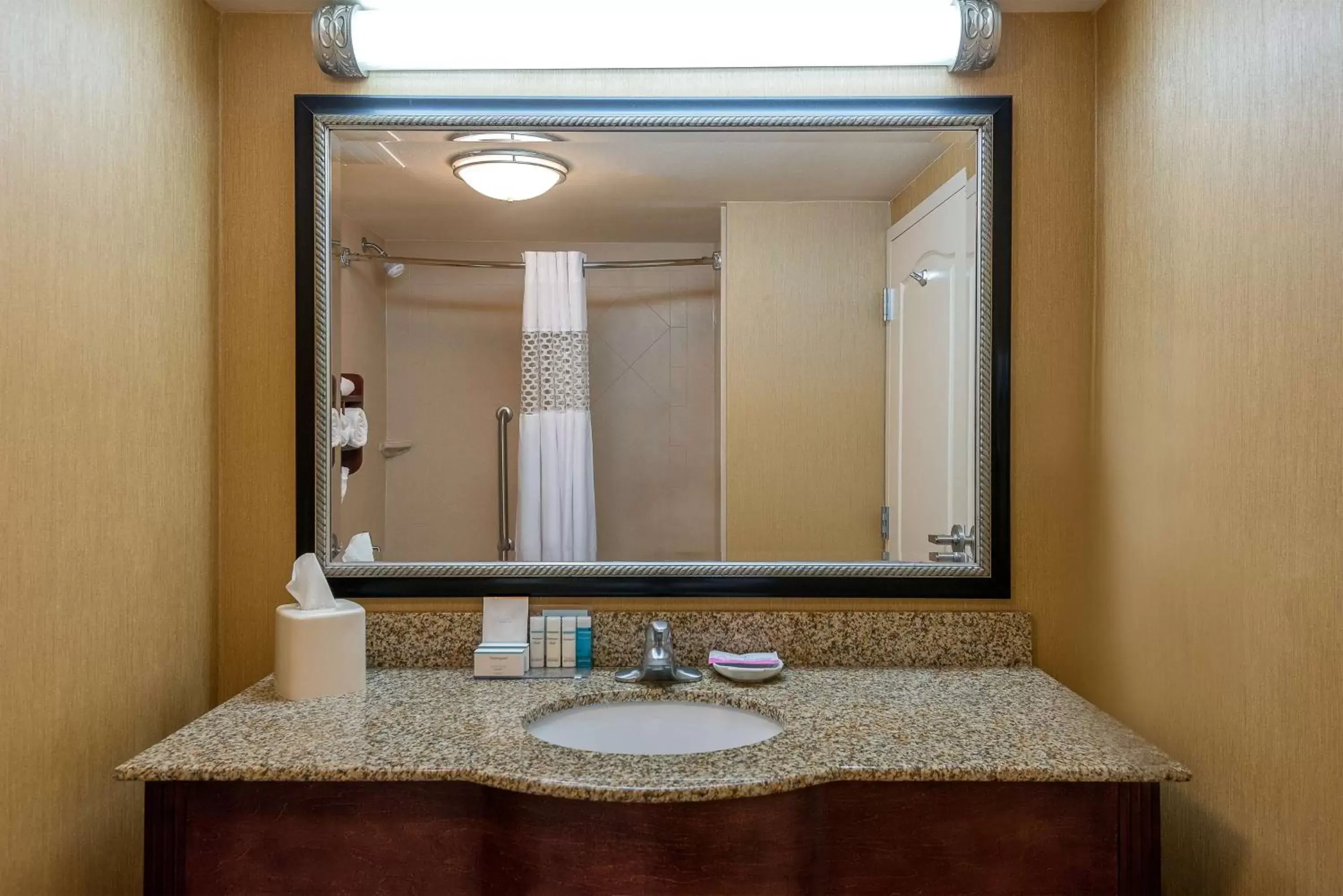Bathroom in Hampton Inn By Hilton & Suites Florence-North/I-95