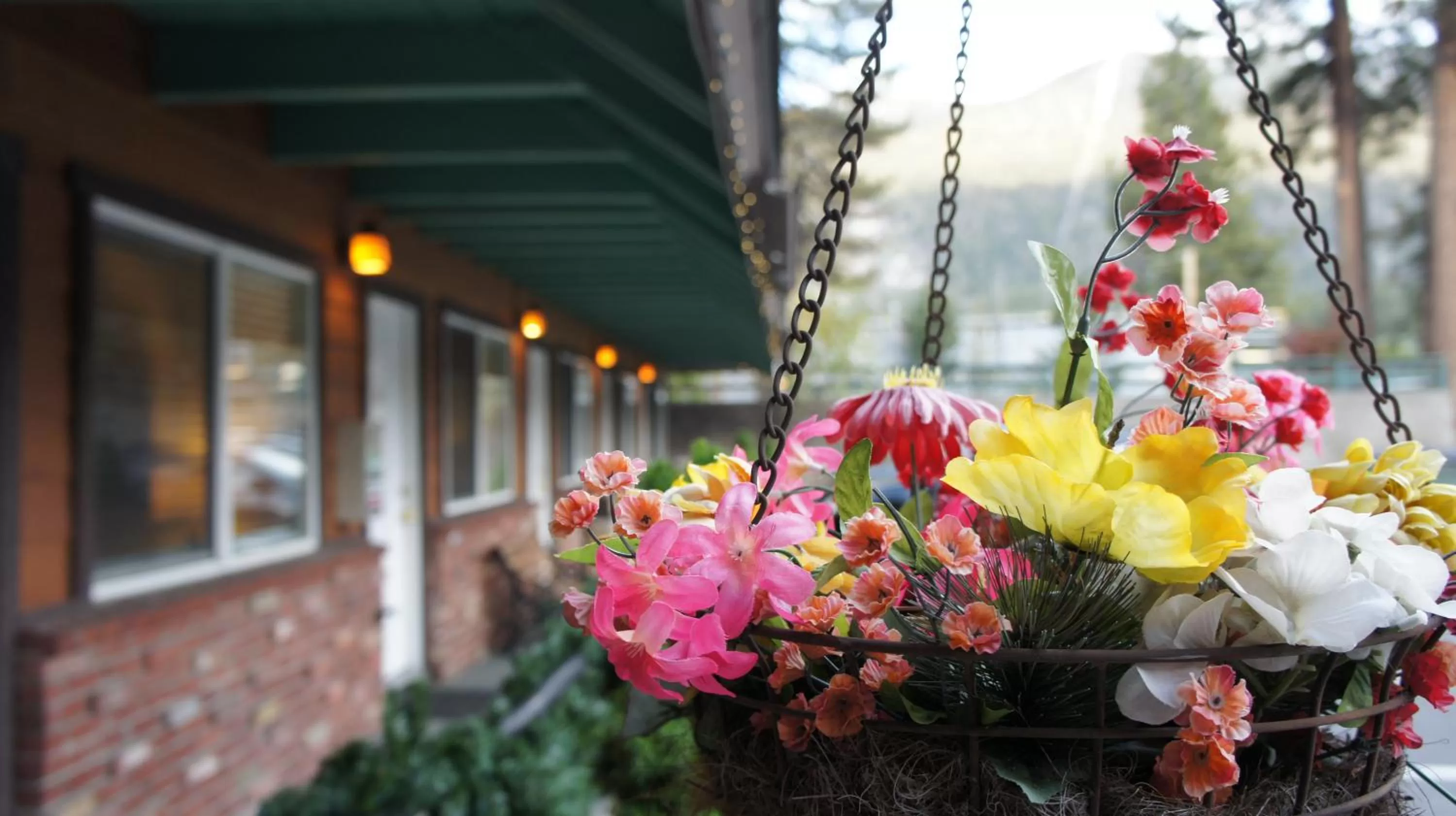 Bird's eye view in Paradice Motel