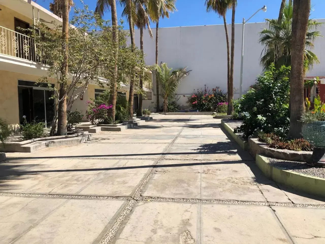 Garden in Hotel Calafia