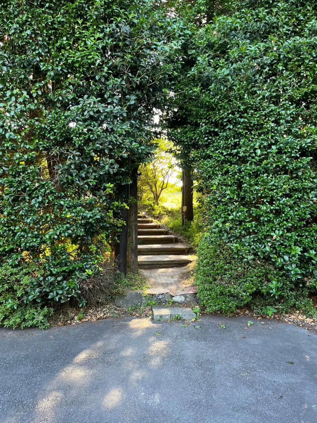 Day in Fuji-Hakone Guest House