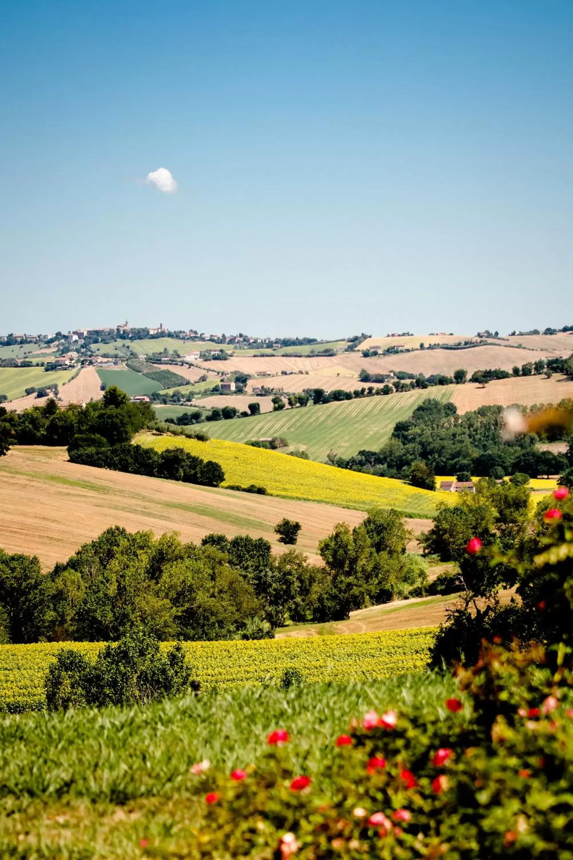 Natural landscape, Garden in CasaVostra - Ambience Suites