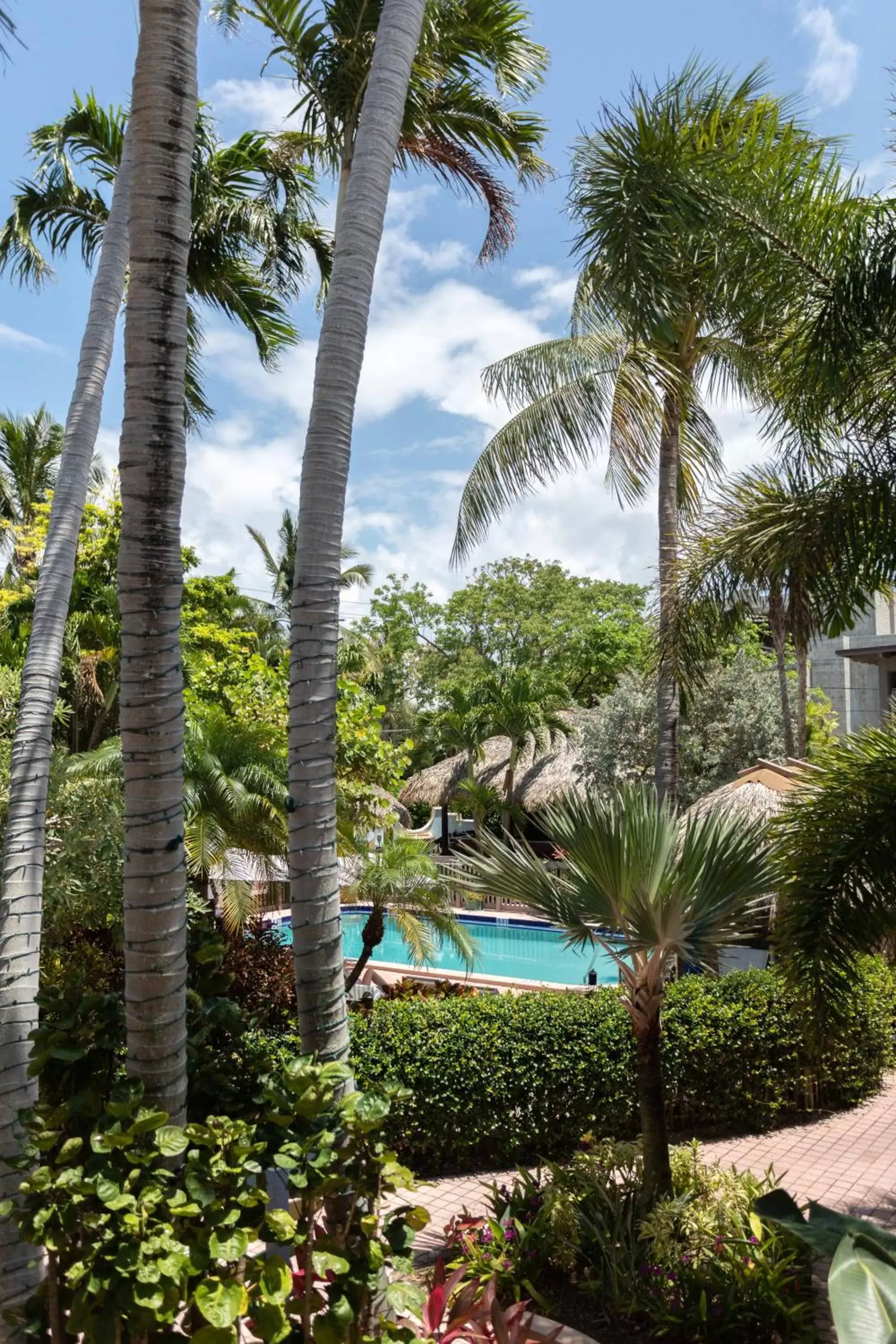 Swimming pool, Pool View in Crane's Beach House Boutique Hotel & Luxury Villas