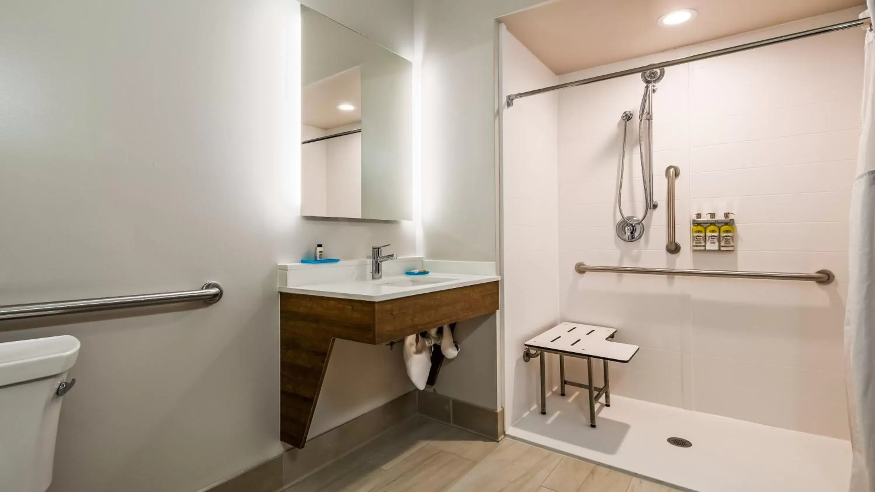 Photo of the whole room, Bathroom in Holiday Inn Express Hotel & Suites Detroit - Farmington Hills, an IHG Hotel