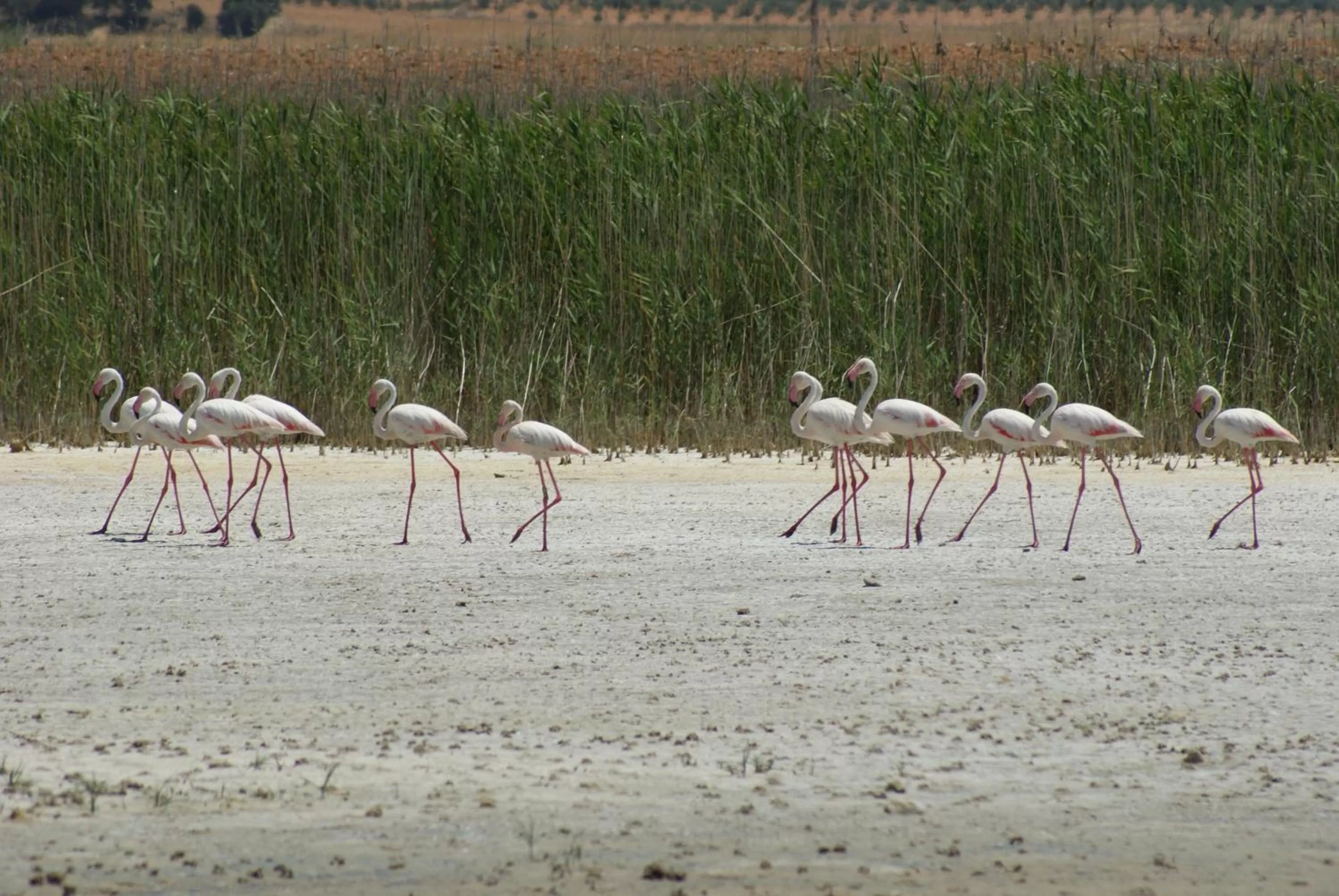 Activities in Finca El Romeral