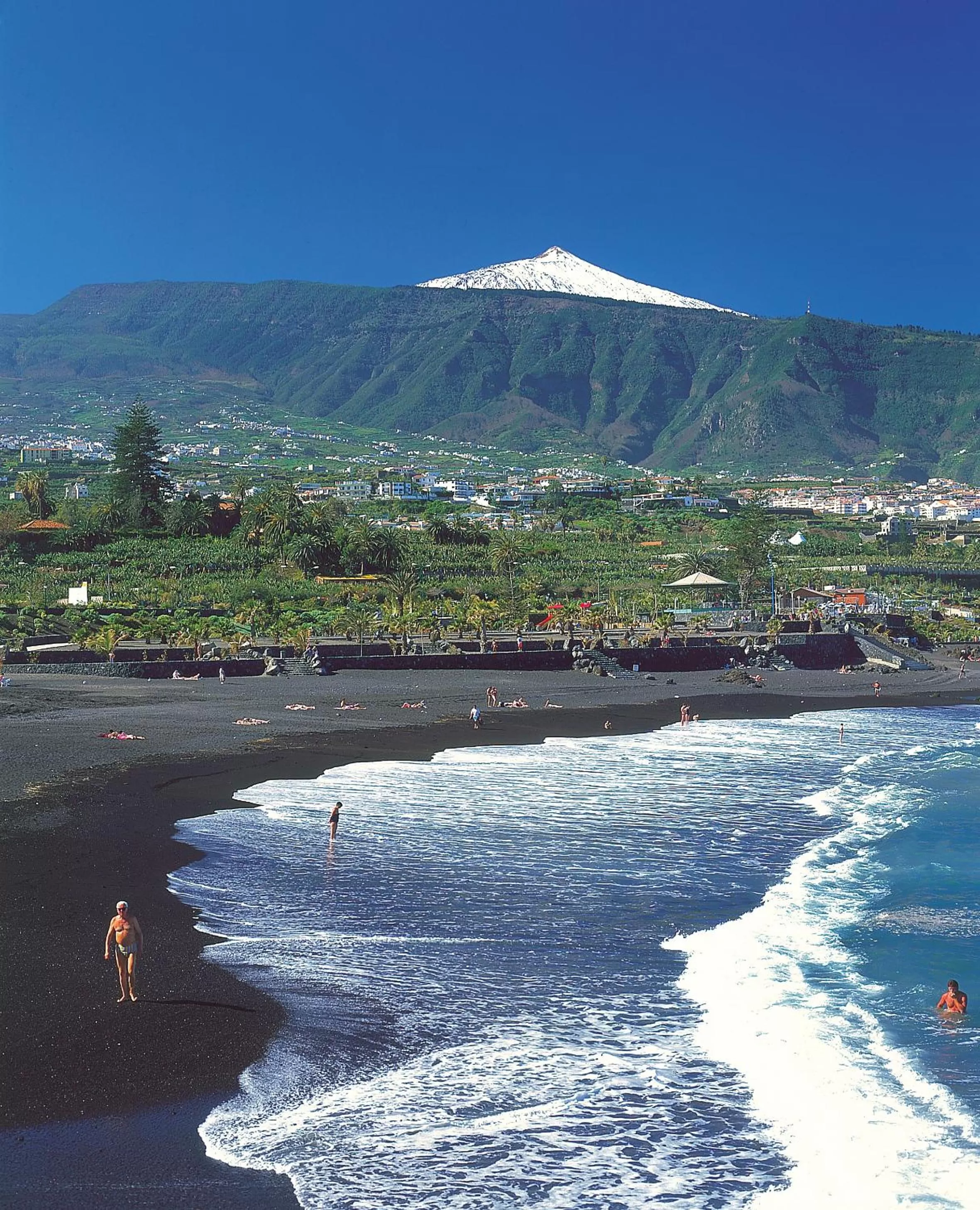 Natural landscape in Hotel Don Manolito