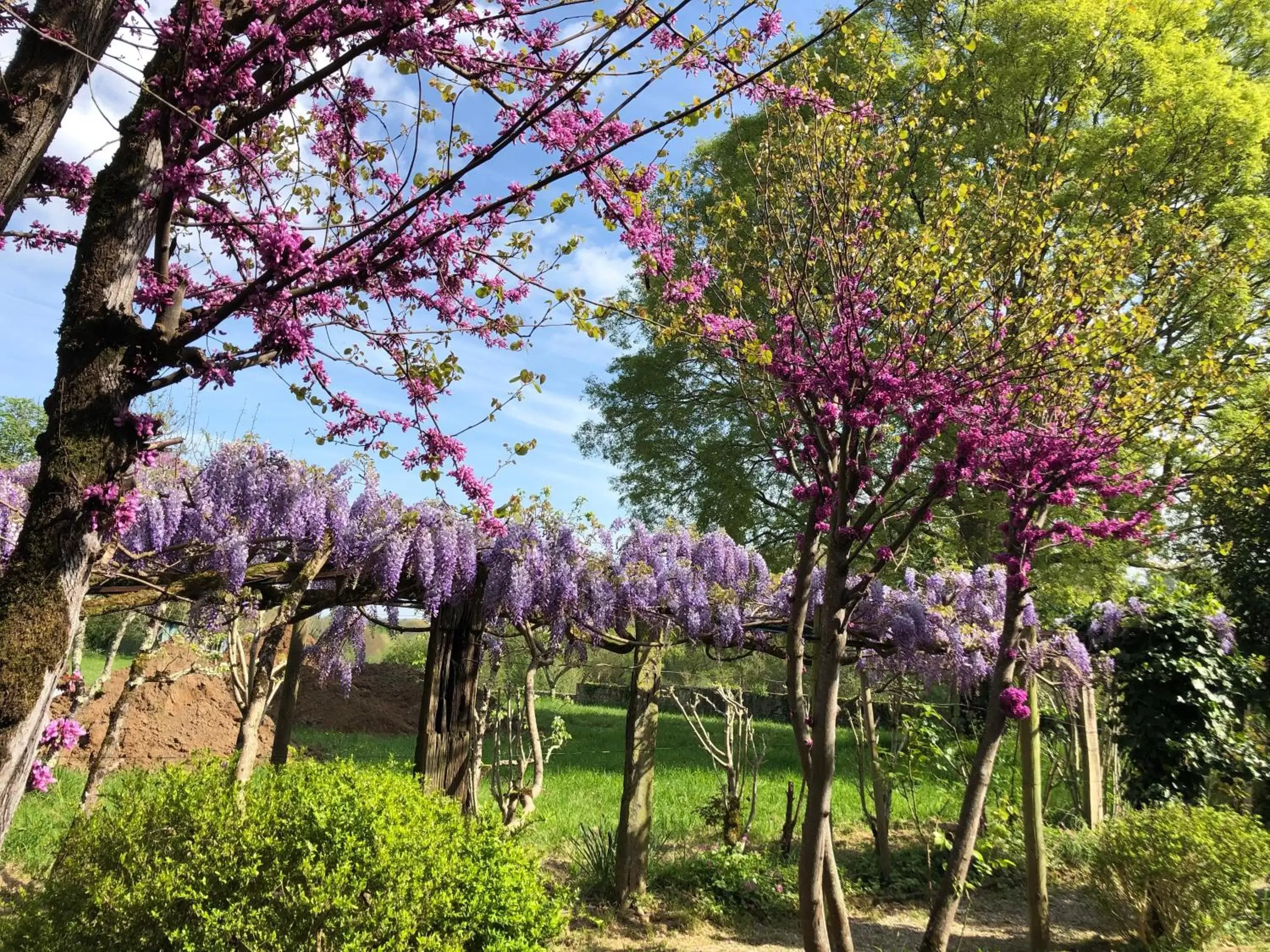 Spring, Garden in Château Destinée