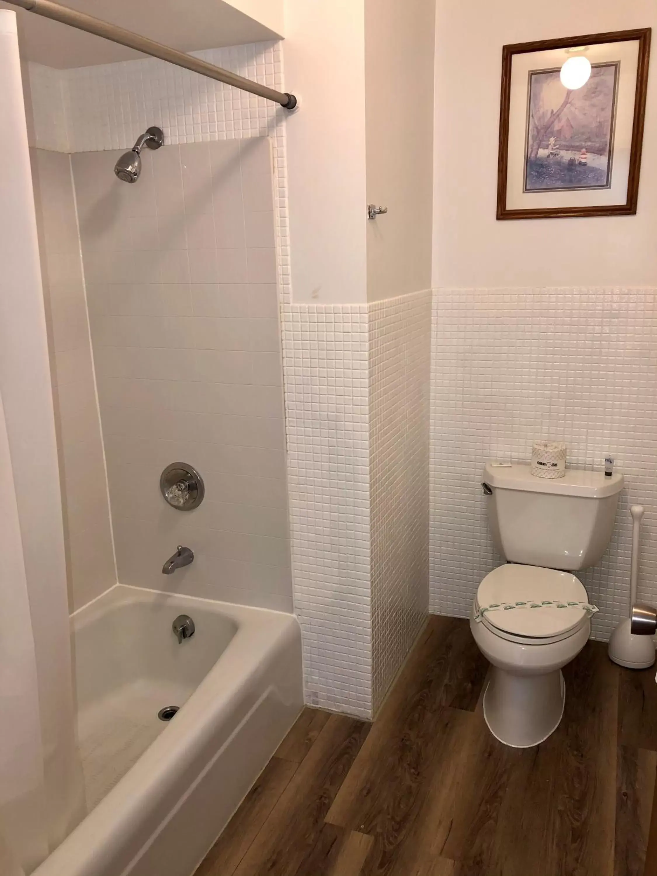 Bathroom in Budget Host Inn